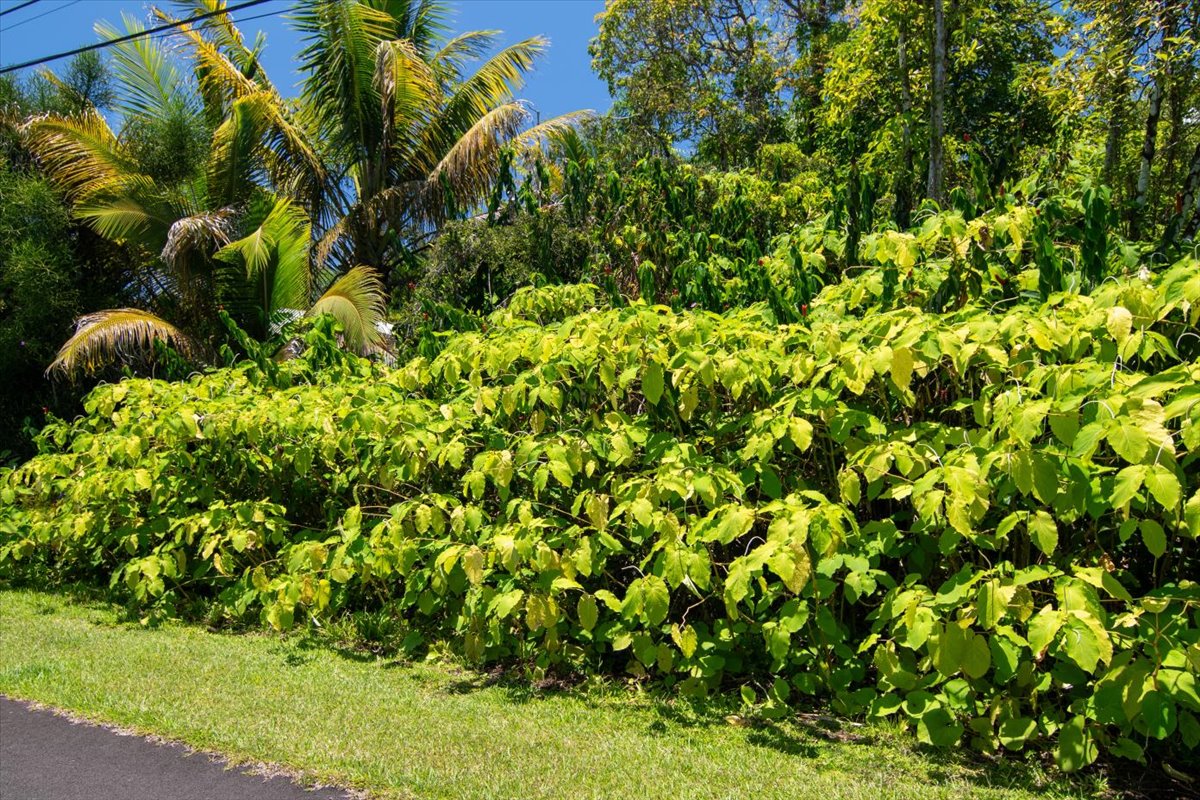 15-175 N Puni Lapa Loop Property Photo 7