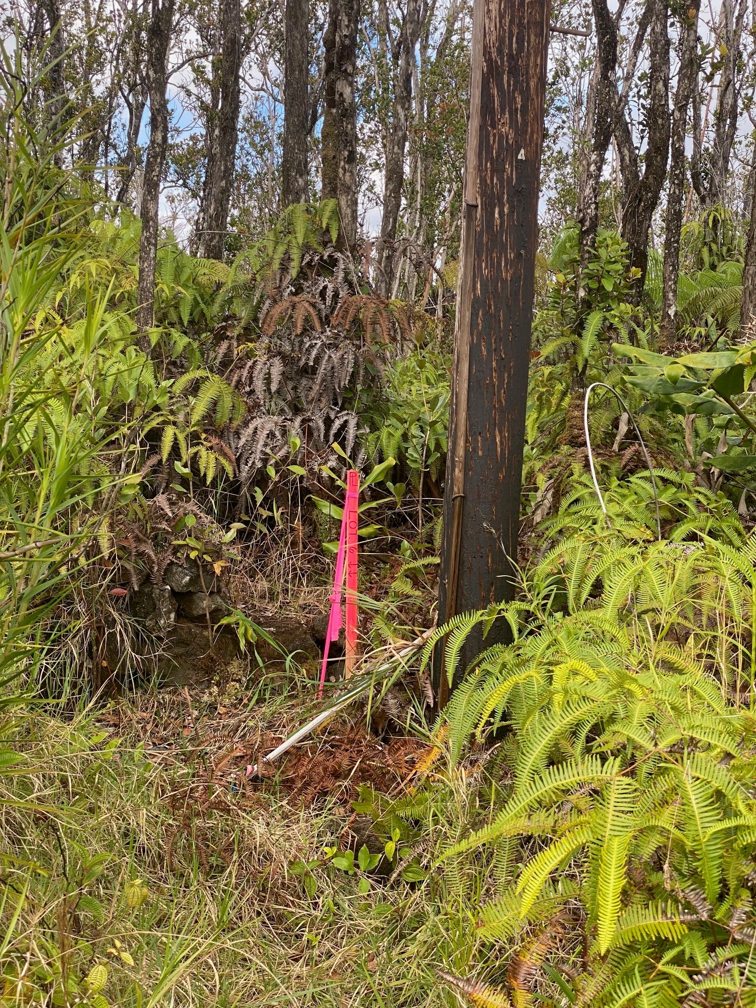 11-2724 Uakoko Rd Property Photo 3