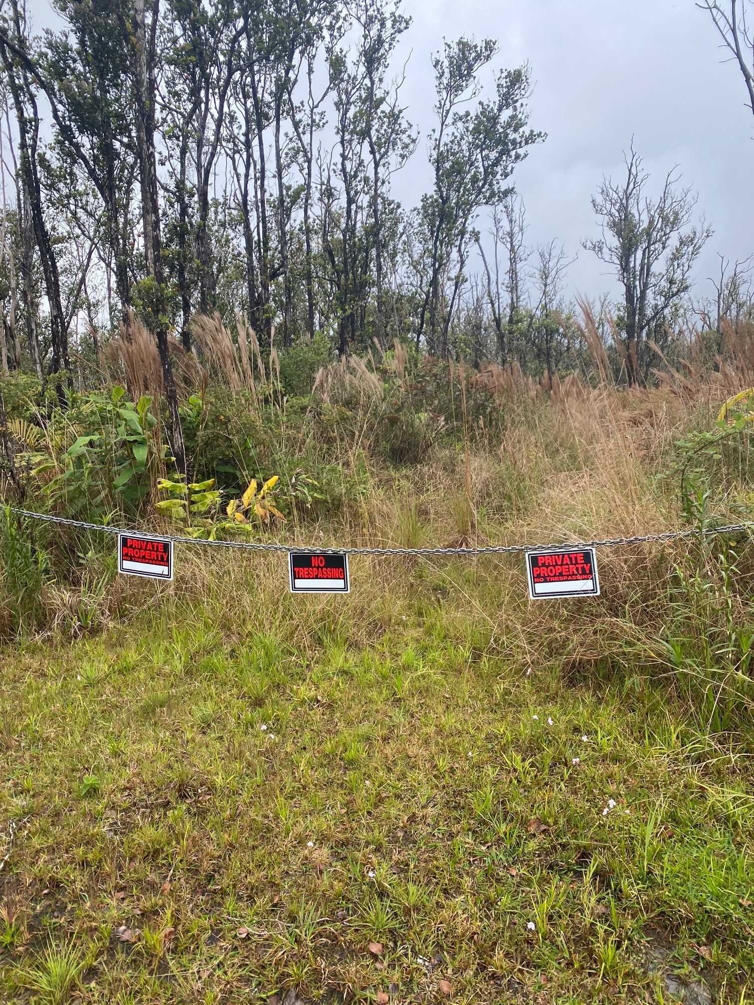 11-2724 Uakoko Rd Property Photo 5
