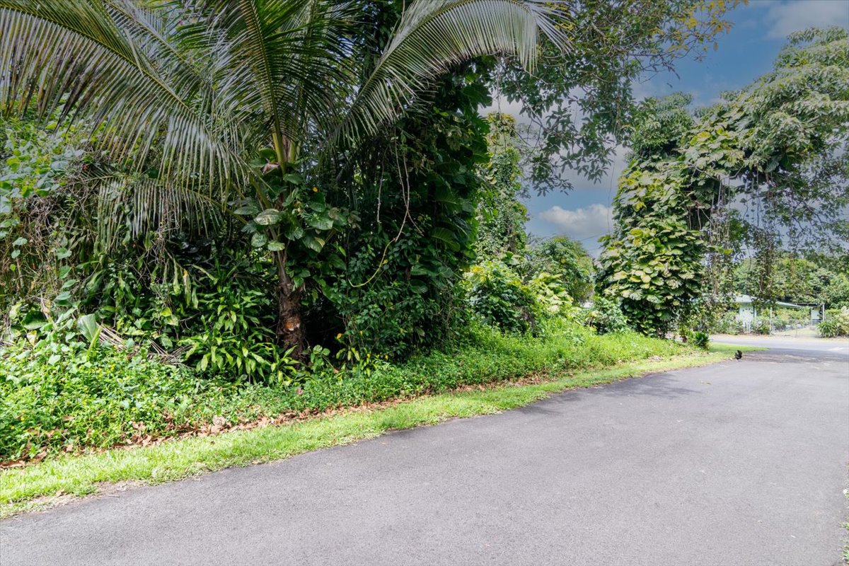 N Opihi St Property Photo 1