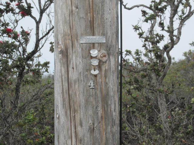 King Kamehameha Blvd Property Photo 4