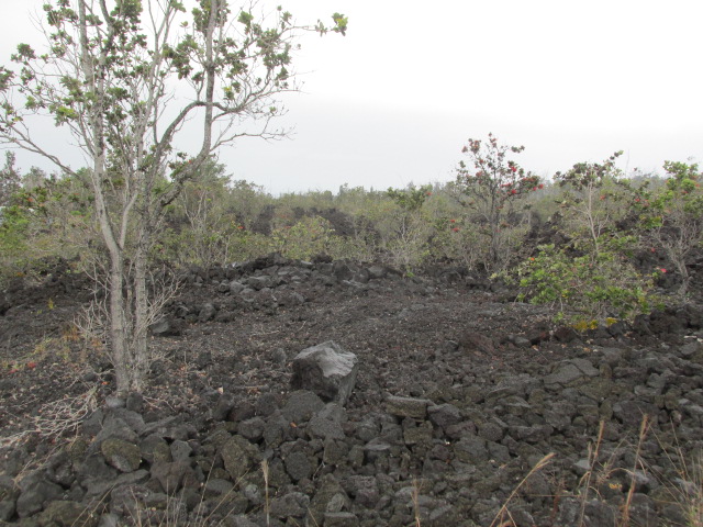 King Kamehameha Blvd Property Photo 5