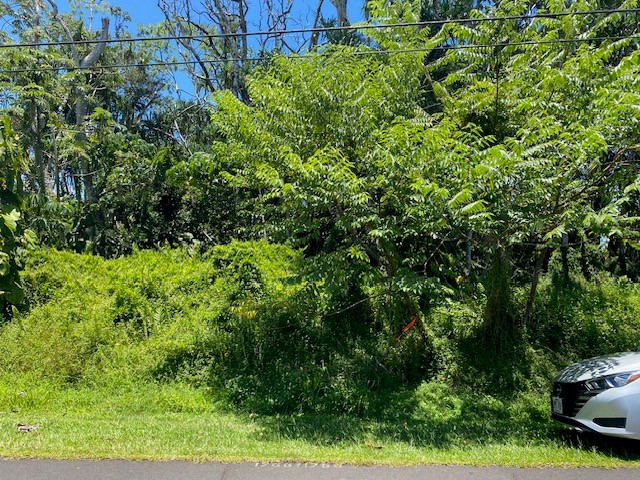 15-174 Puni Lapa Loop Property Photo 1