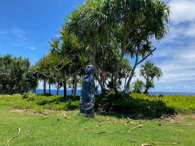 15-174 Puni Lapa Loop Property Photo 3