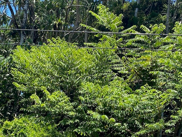 15-174 Puni Lapa Loop Property Photo 7