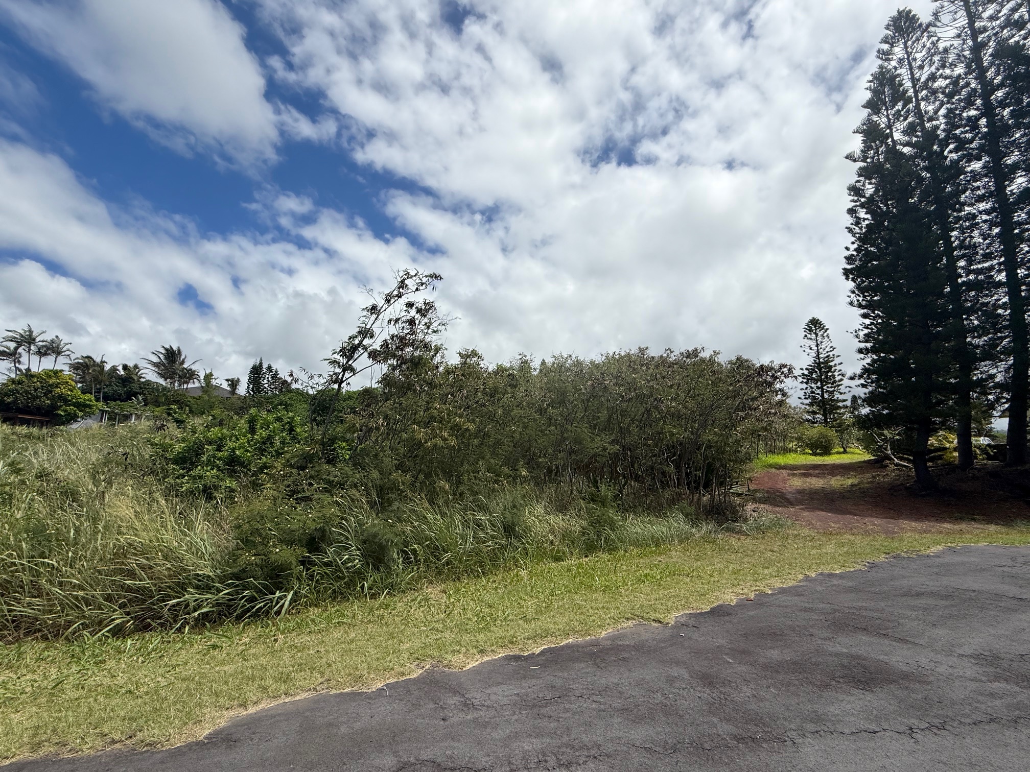 94-5877 Kau Wela Pl Property Photo 3