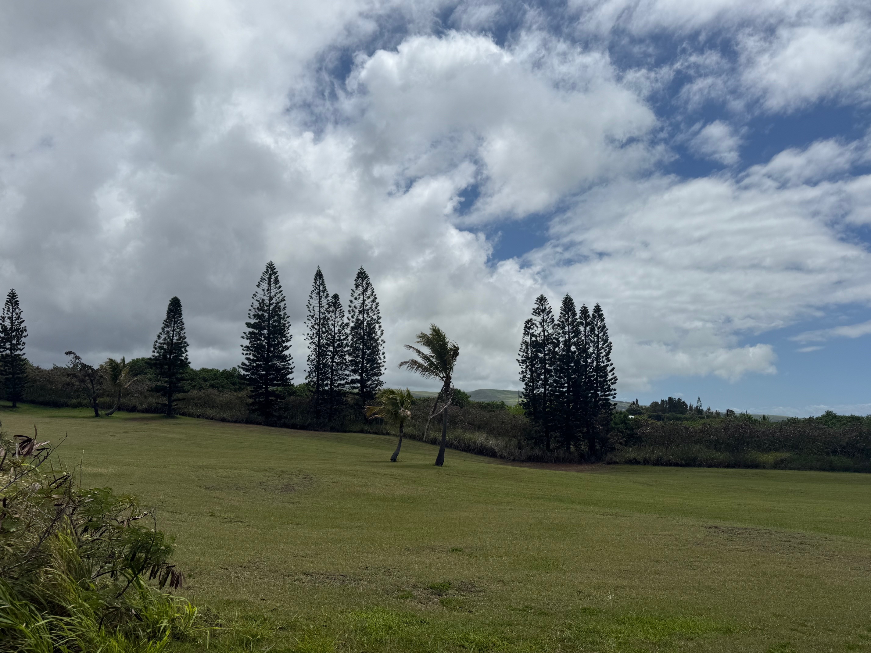 94-5877 Kau Wela Pl Property Photo 6