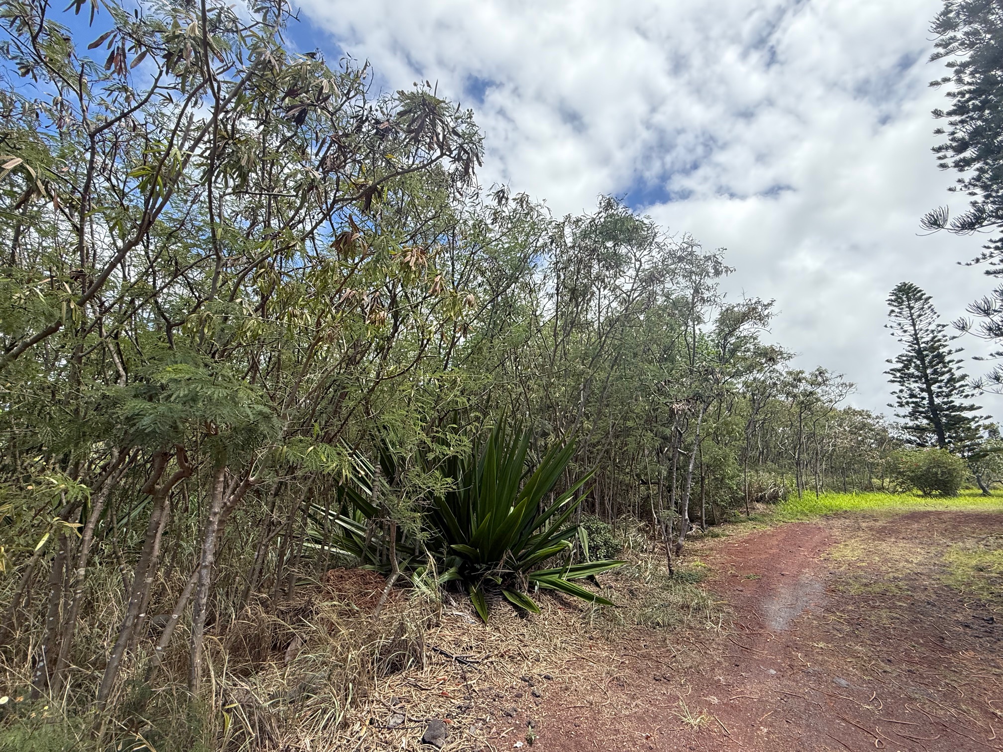 94-5877 Kau Wela Pl Property Photo 8