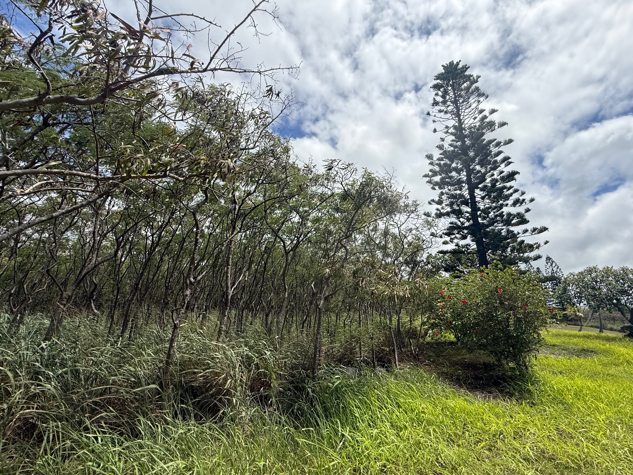 94-5877 Kau Wela Pl Property Photo 11