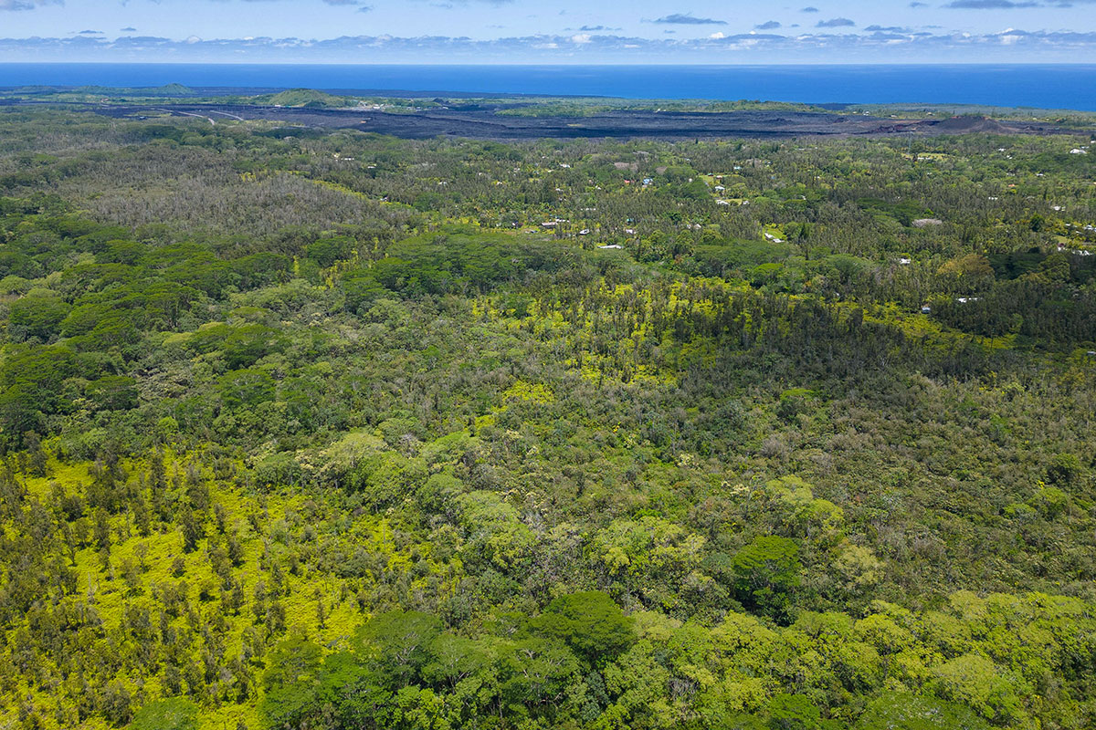 Pahoa Kalapana Rd Property Photo 4