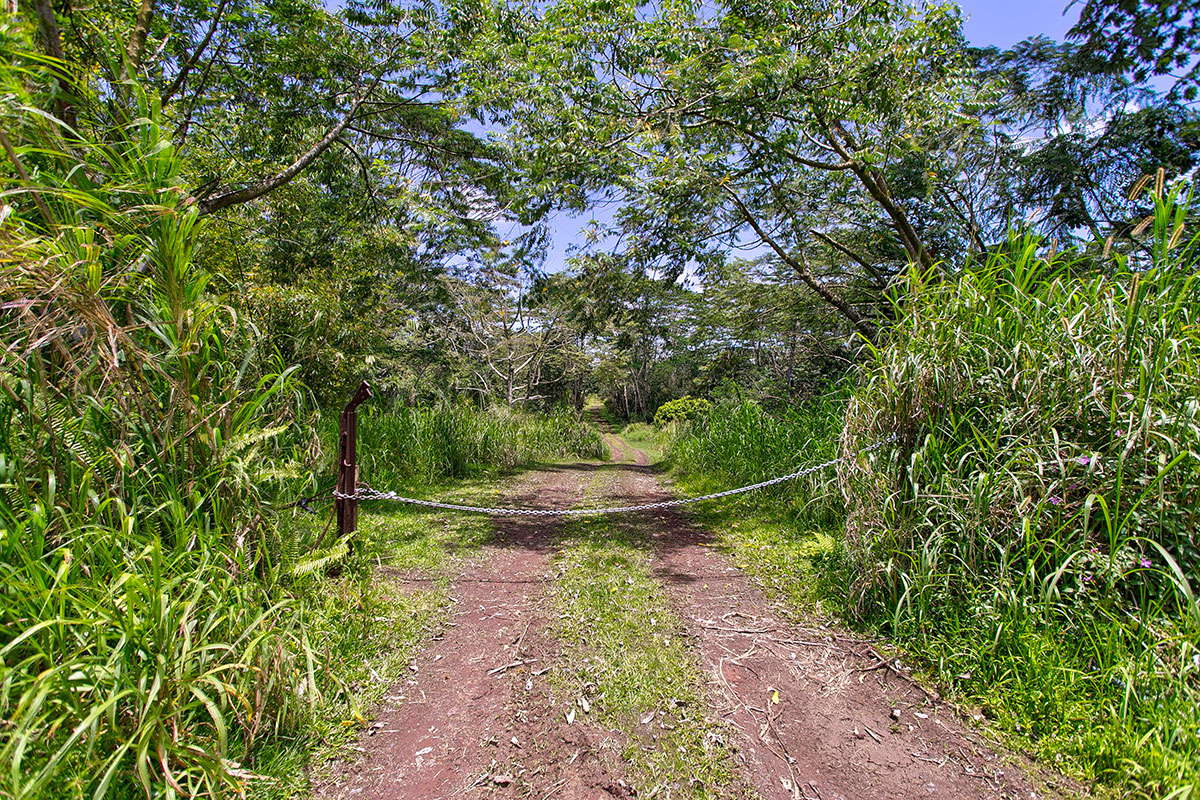 Pahoa Kalapana Rd Property Photo 6
