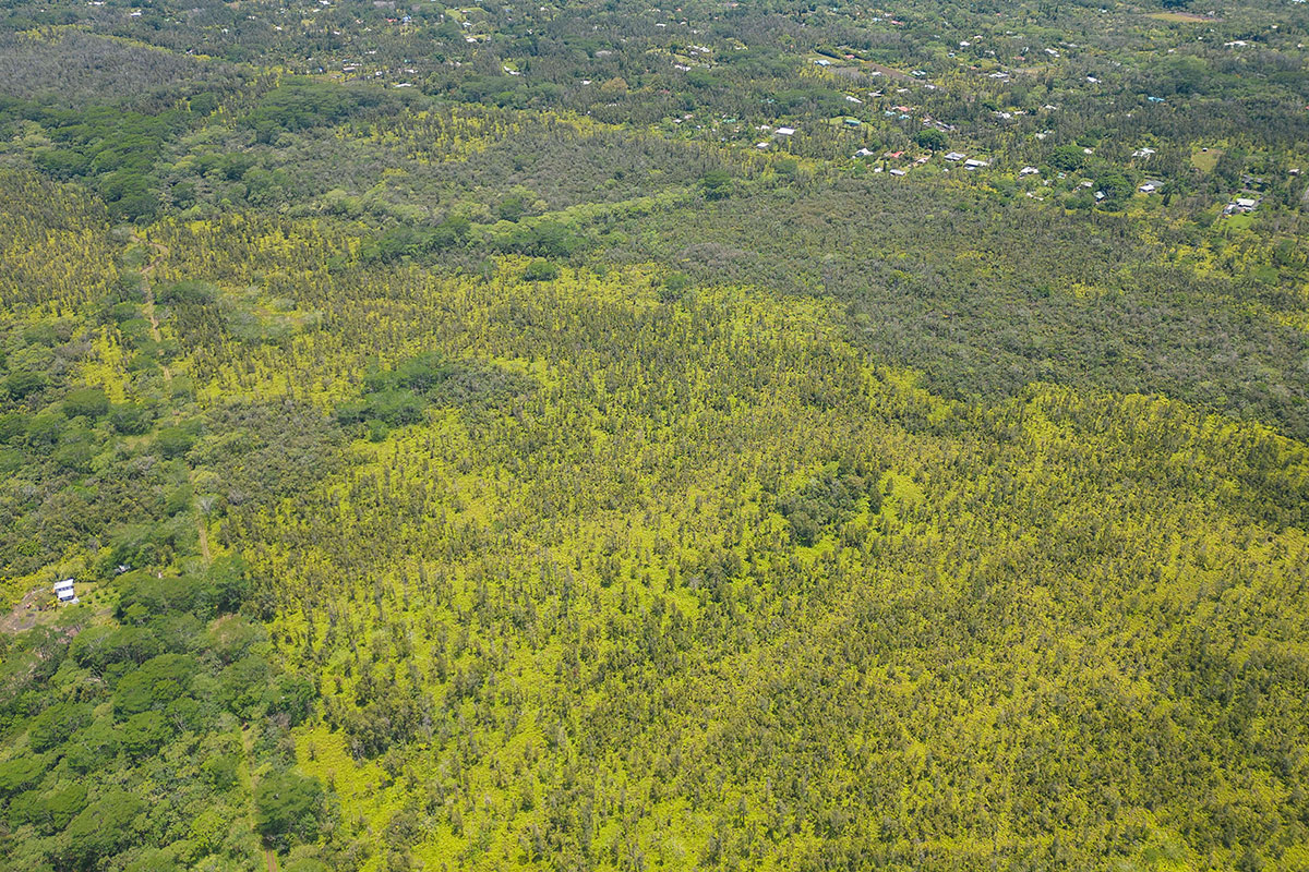 Pahoa Kalapana Rd Property Photo 8