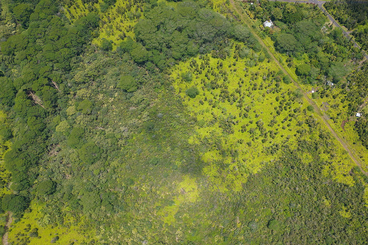 Pahoa Kalapana Rd Property Photo 10