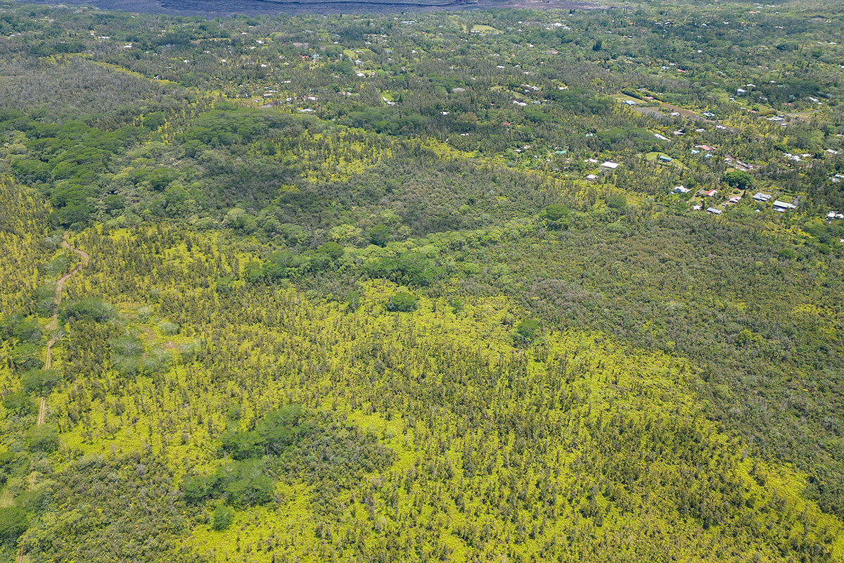 Pahoa Kalapana Rd Property Photo 12