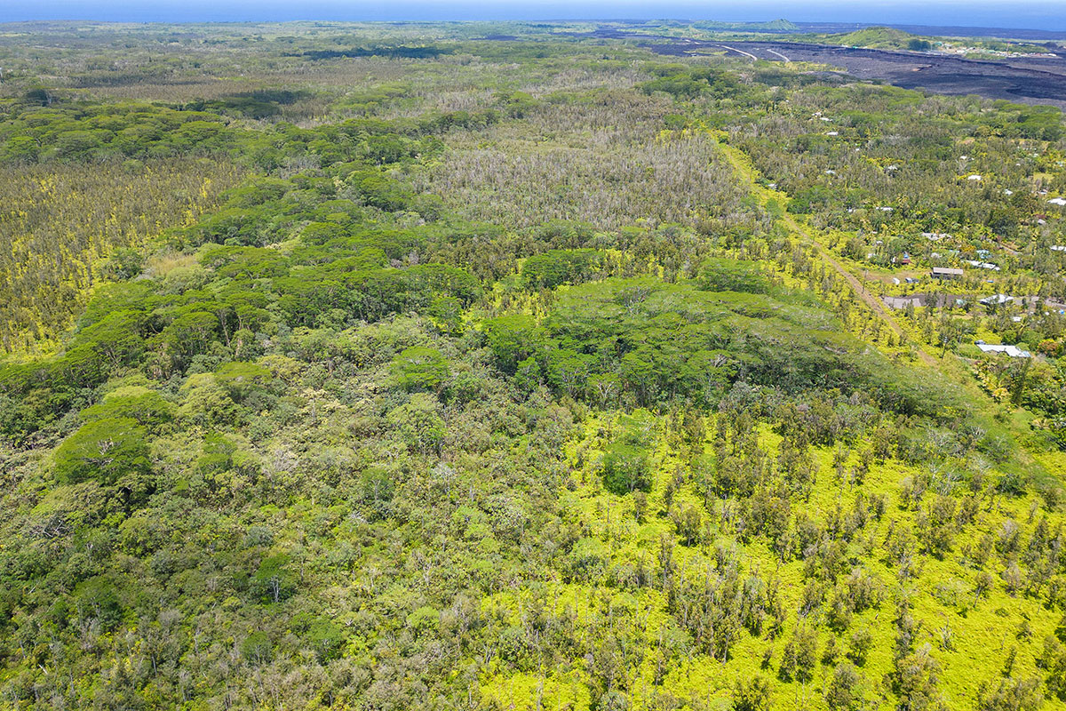Pahoa Kalapana Rd Property Photo 13