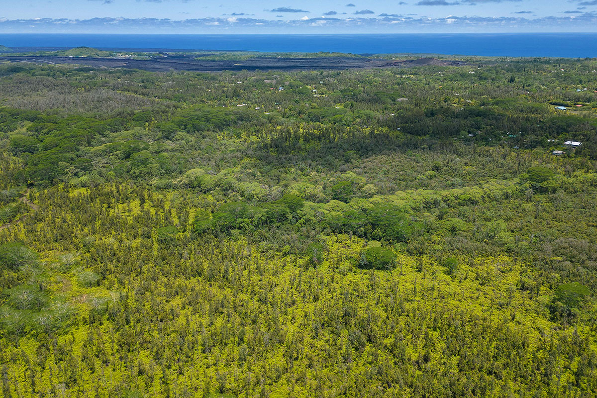 Pahoa Kalapana Rd Property Photo 14