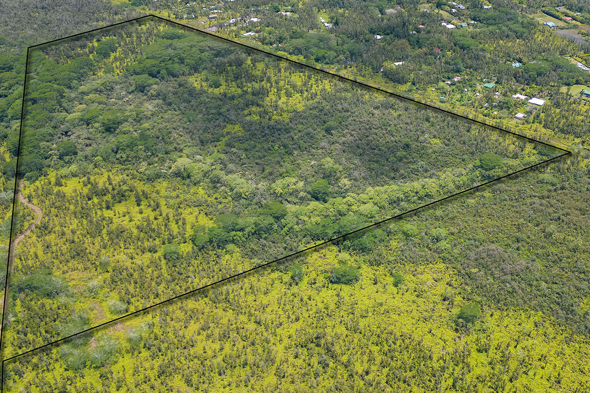 Pahoa Kalapana Rd Property Photo 15