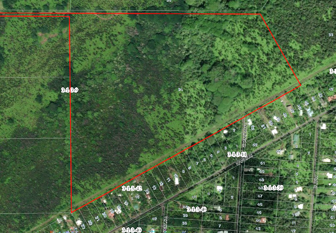 Pahoa Kalapana Rd Property Photo 16