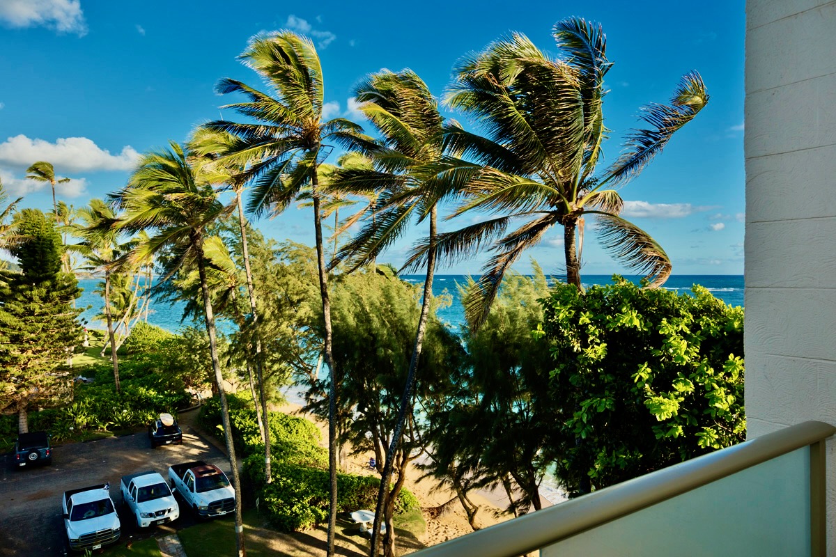 53-549 Kamehameha Hwy 506 Property Photo 14