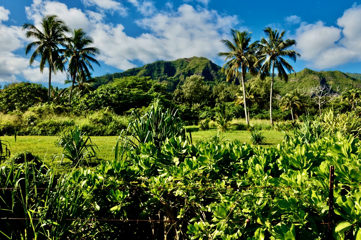 53-549 Kamehameha Hwy 506 Property Photo 17