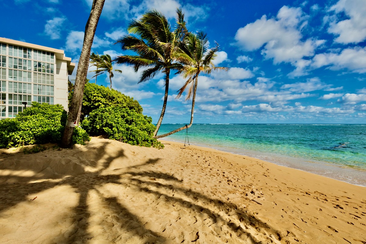 53-549 Kamehameha Hwy 506 Property Photo 19