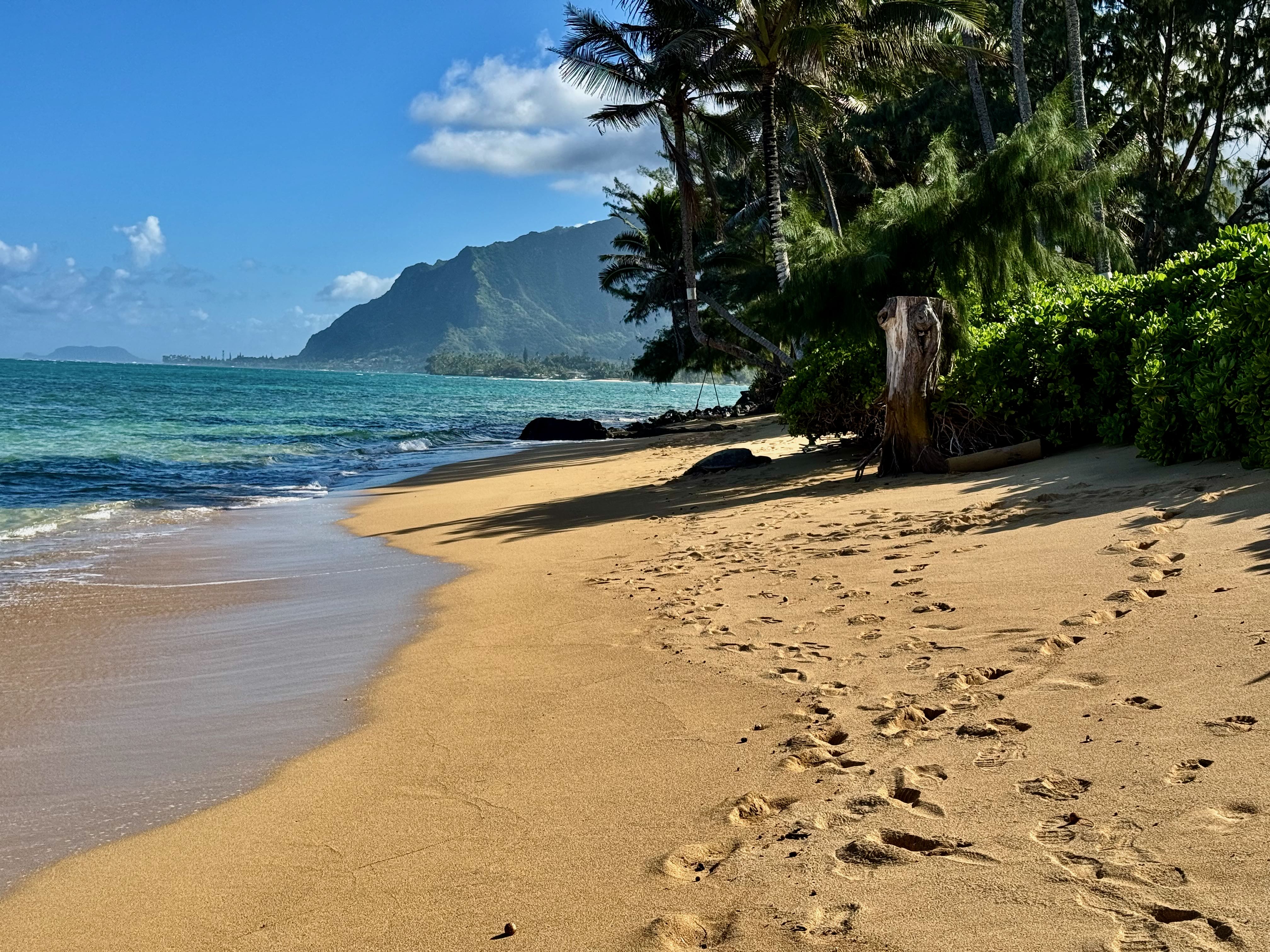 53-549 Kamehameha Hwy 506 Property Photo 20