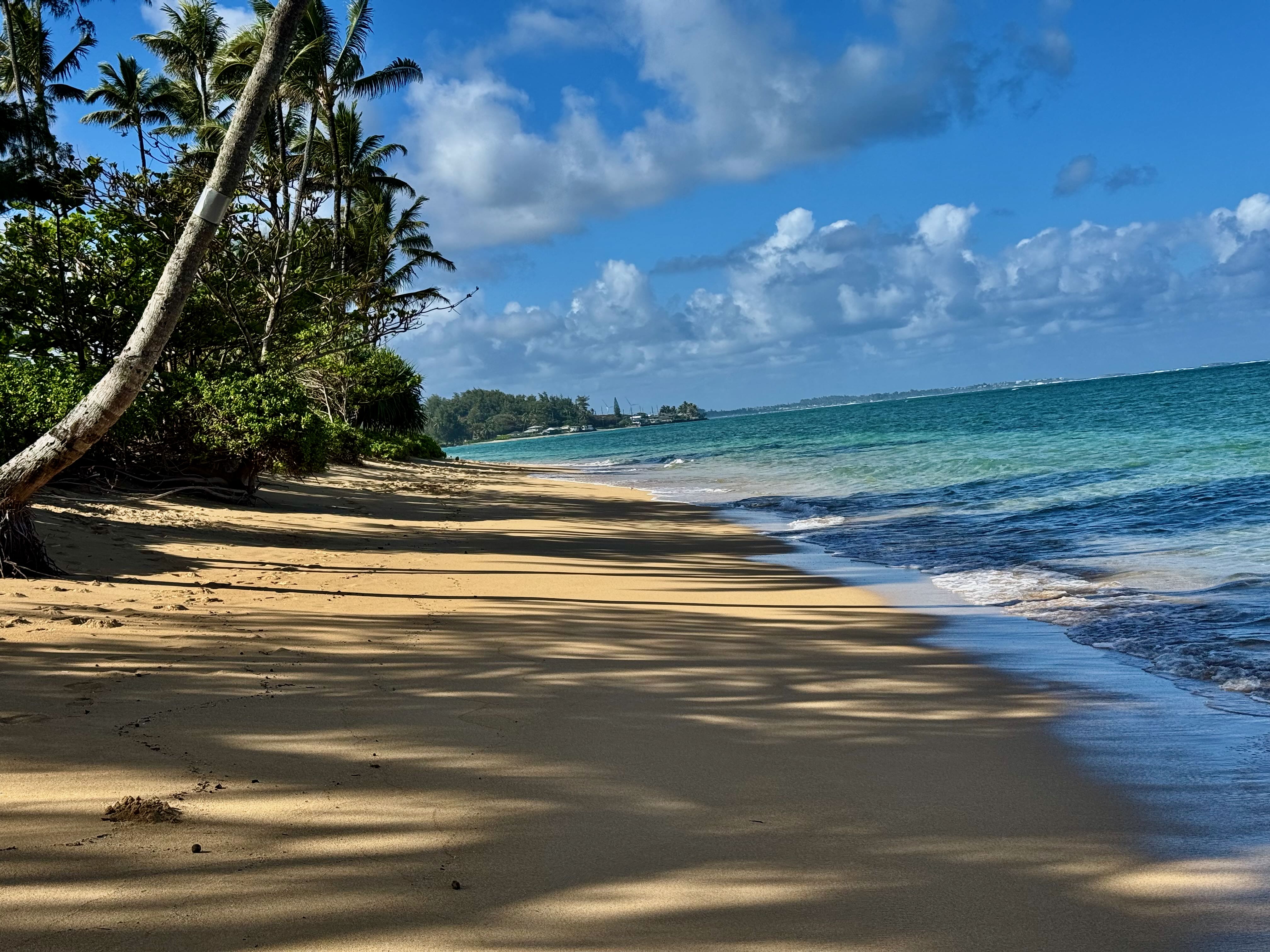 53-549 Kamehameha Hwy 506 Property Photo 21