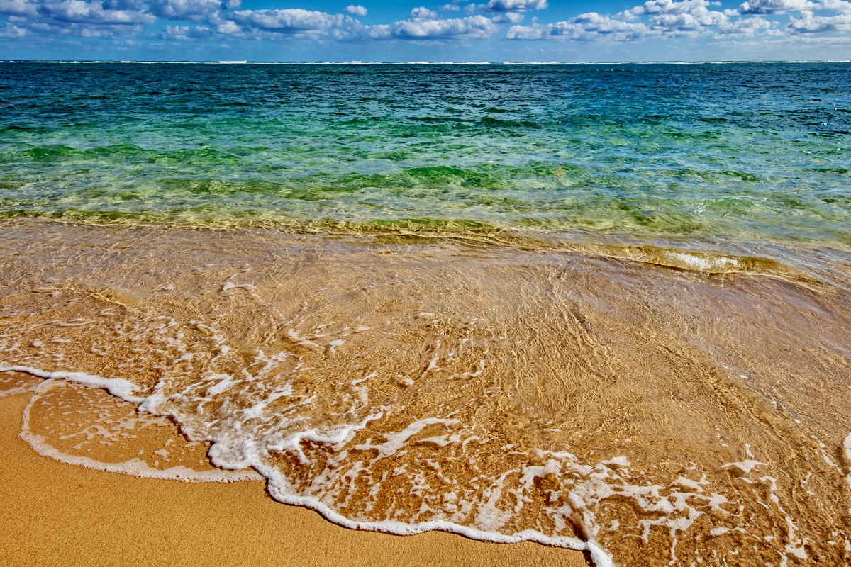 53-549 Kamehameha Hwy 506 Property Photo 22