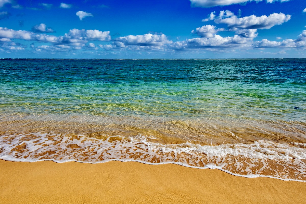 53-549 Kamehameha Hwy 506 Property Photo 23