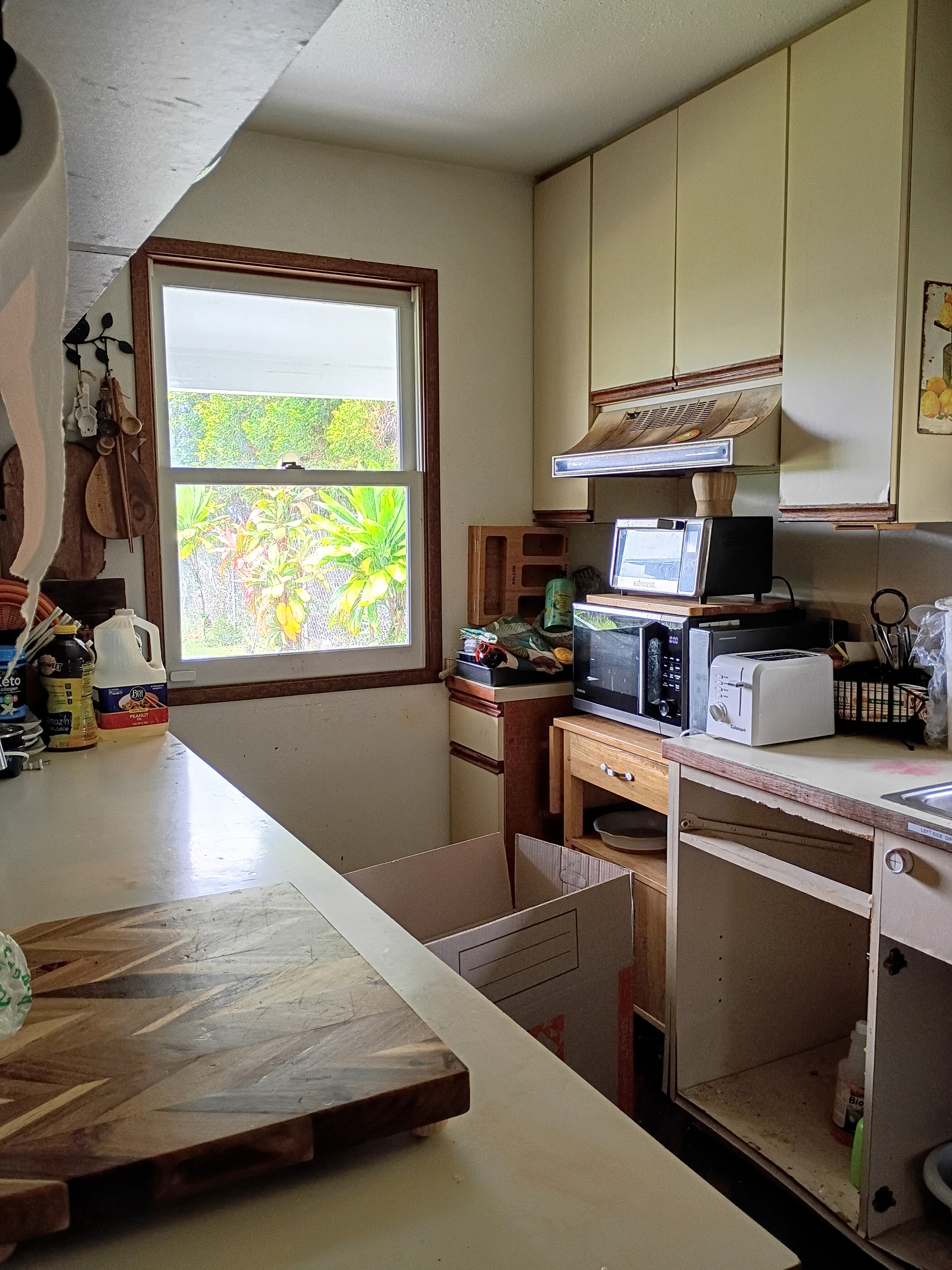 433 Kaanini St Property Photo 6