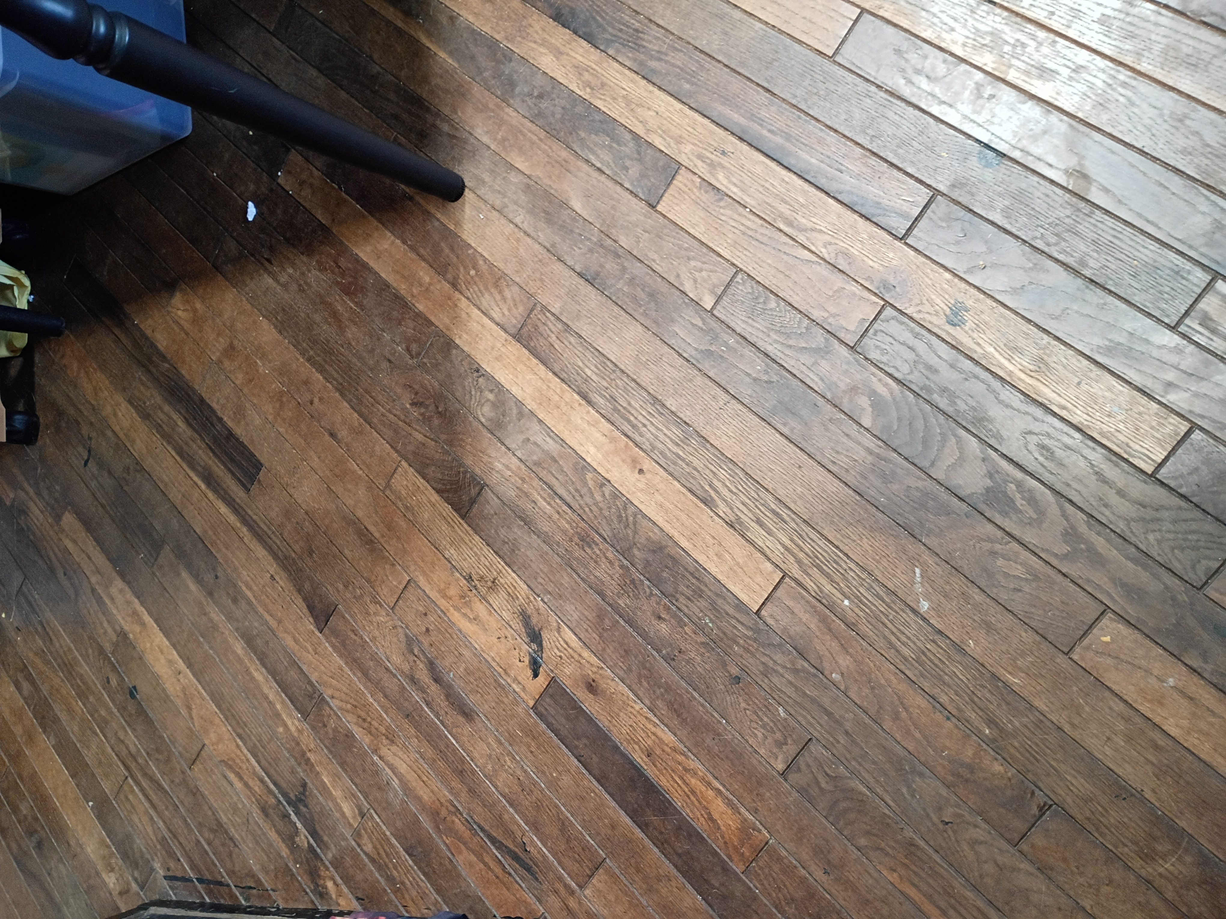 433 Kaanini St Property Photo 13