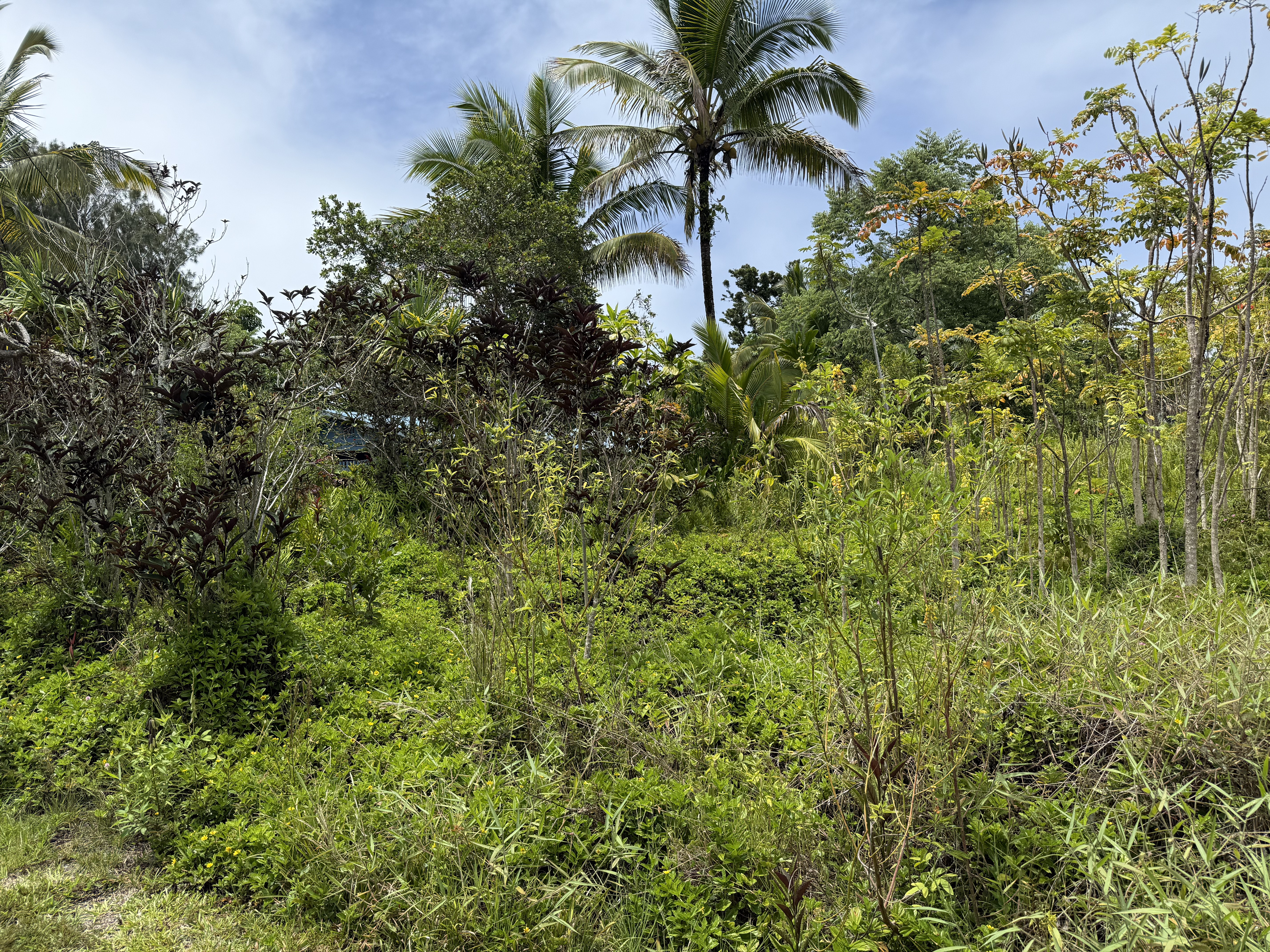 15-1032 Wahi Heiau Pl Property Photo 1