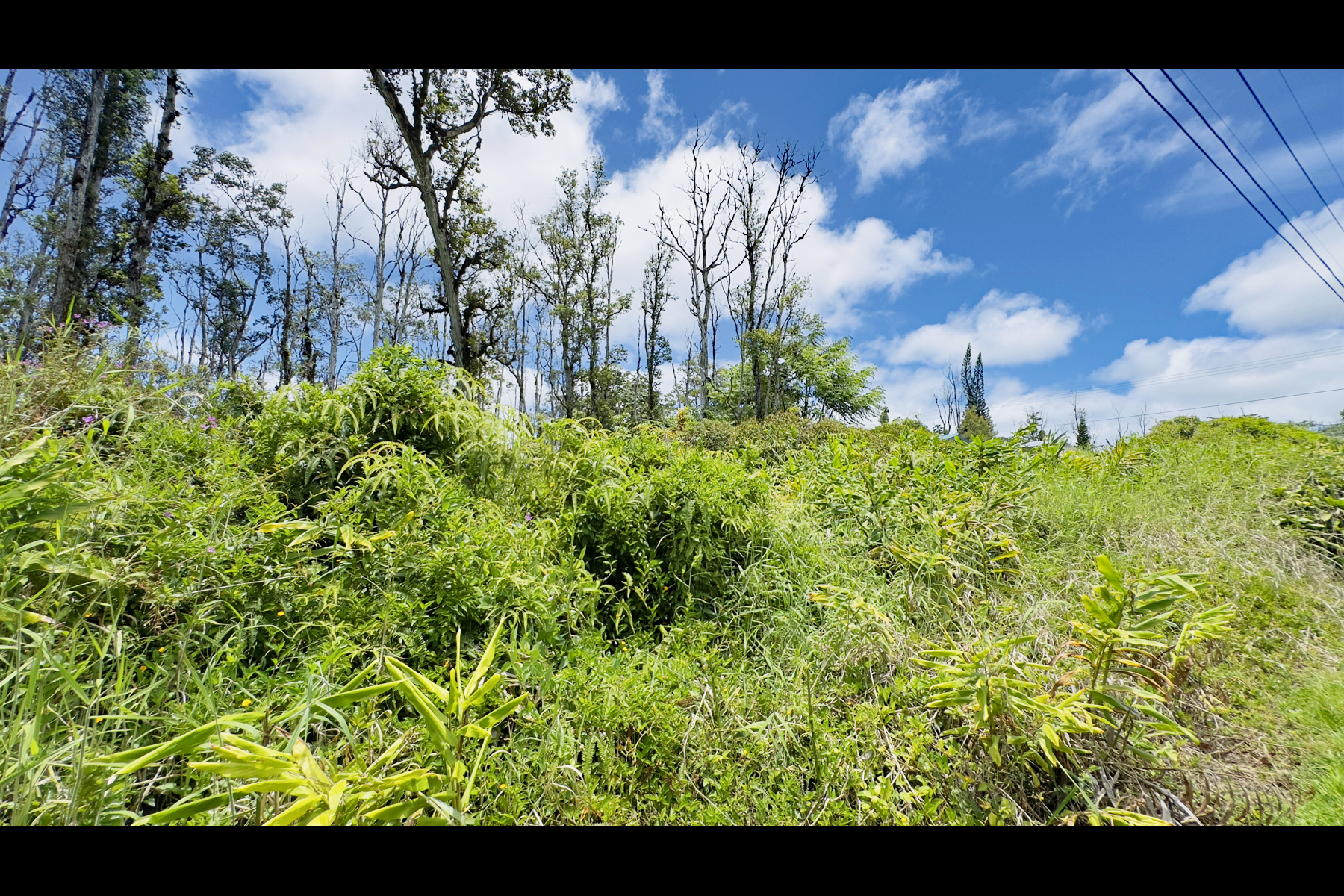 Stardust Dr Property Photo 1