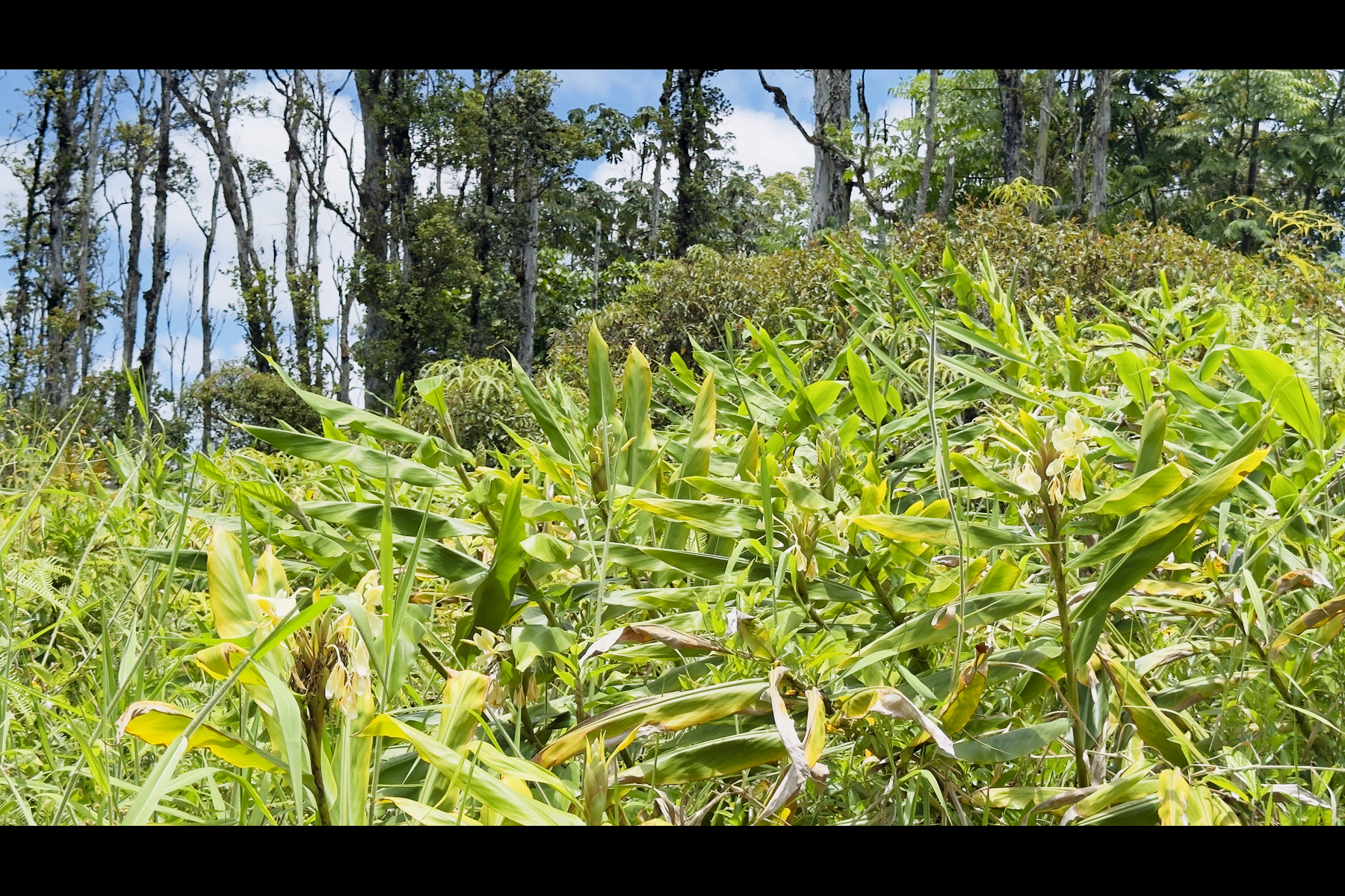 Stardust Dr Property Photo 2