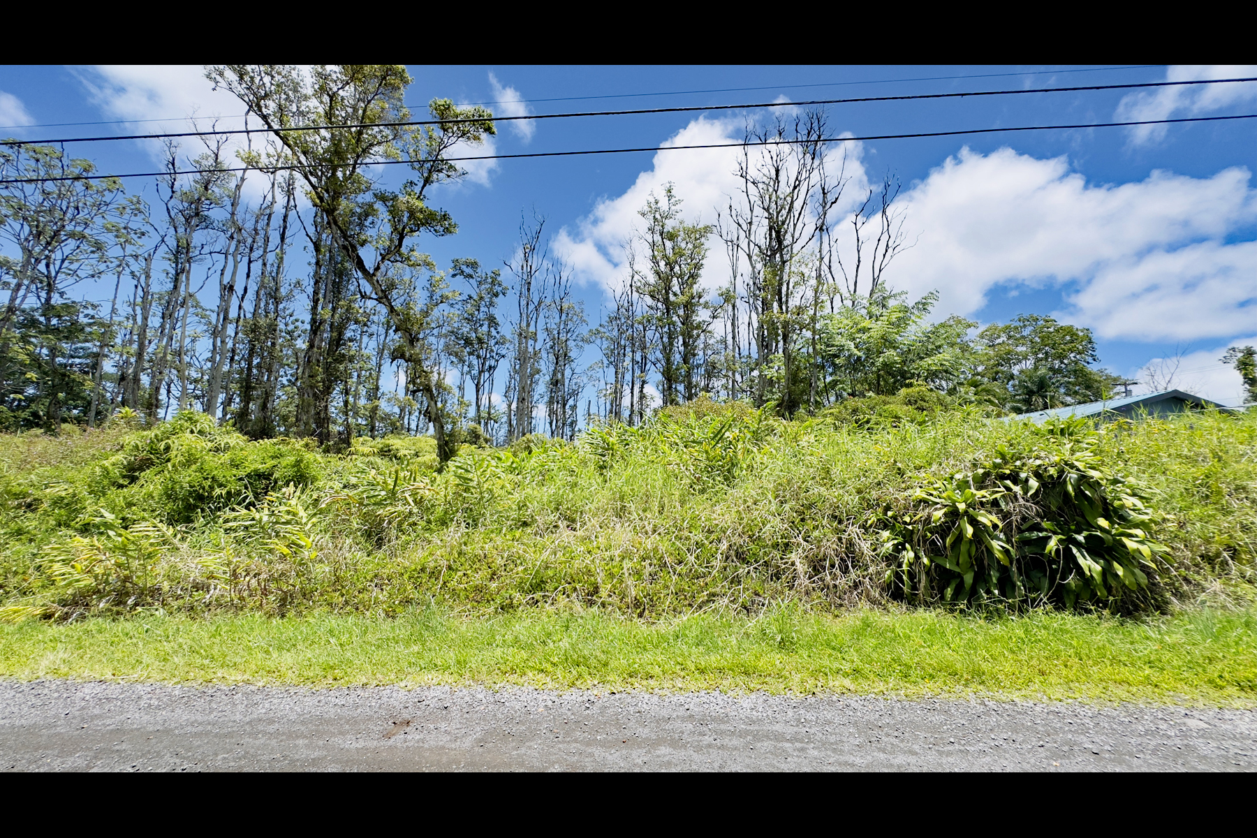 Stardust Dr Property Photo 7