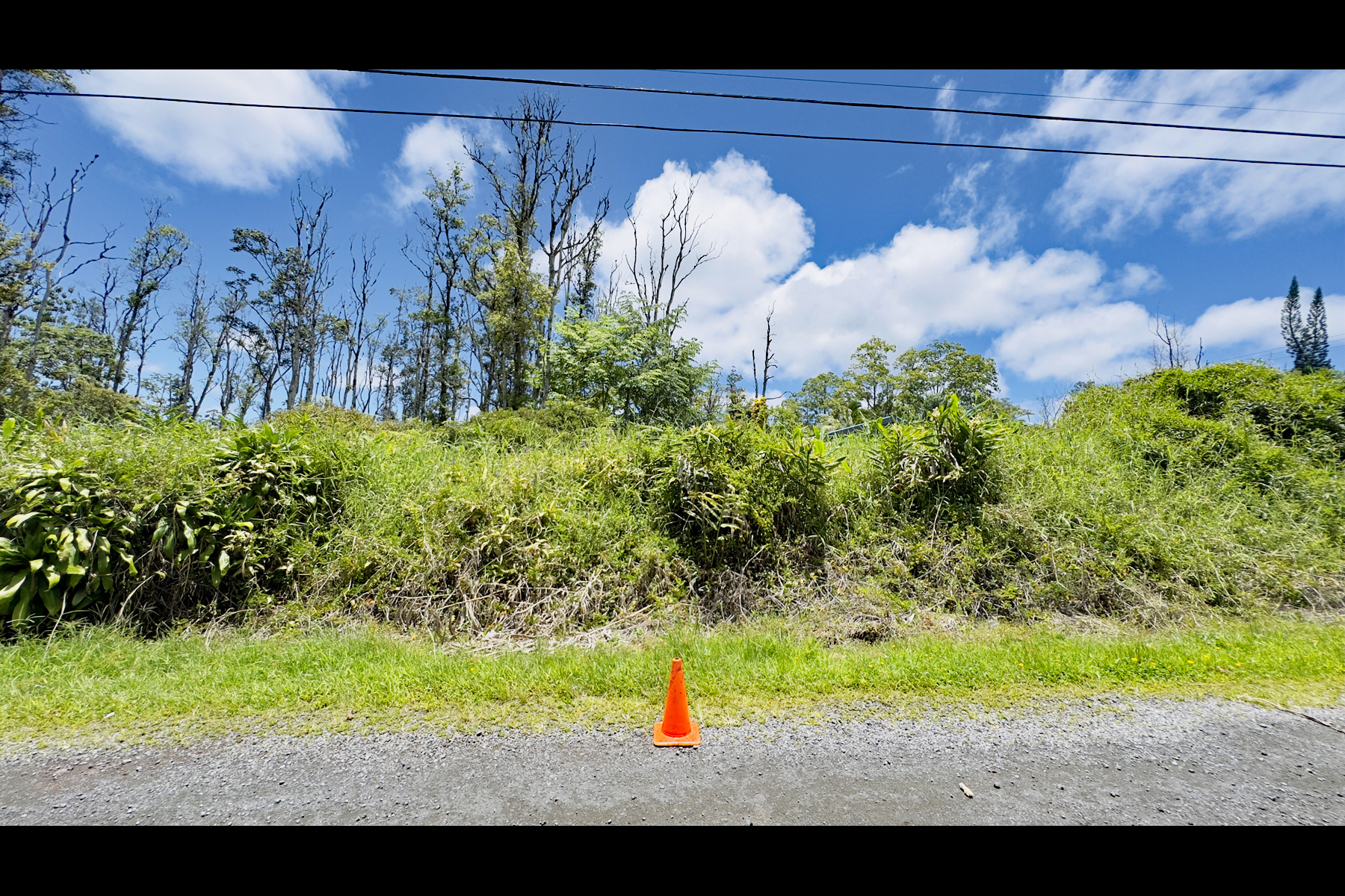 Stardust Dr Property Photo 11