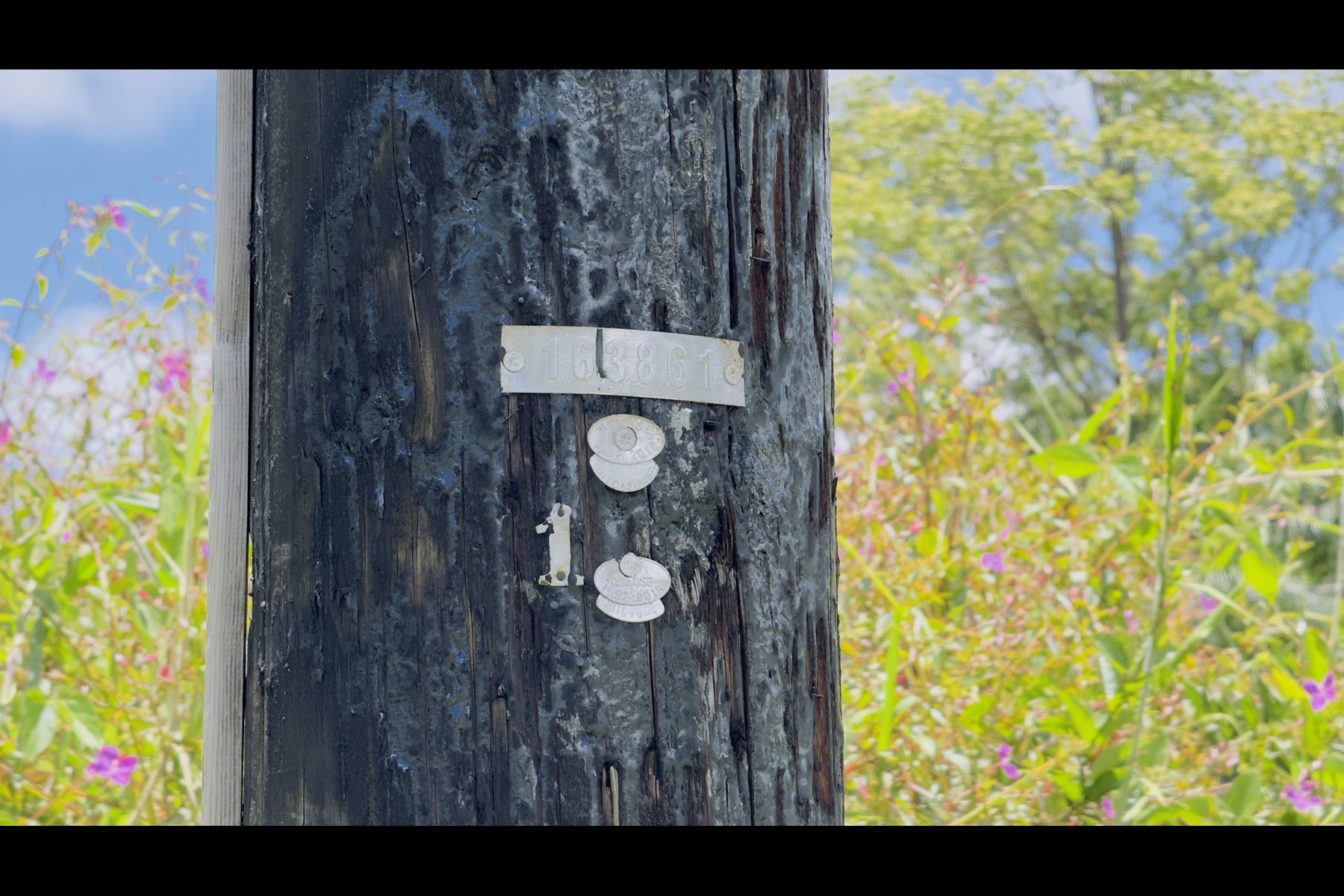 Stardust Dr Property Photo 12