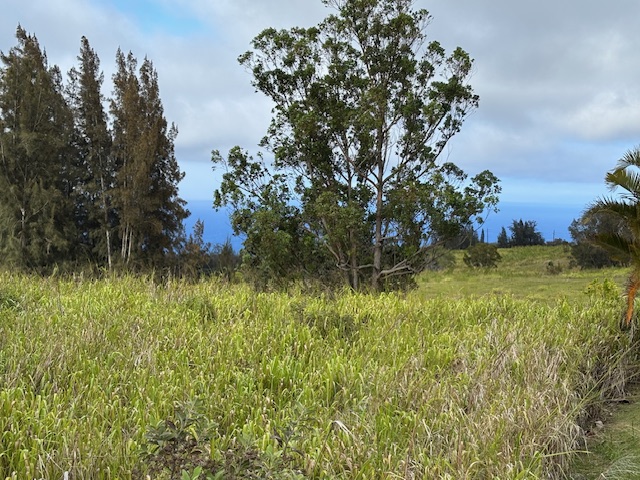 PALIKEKUA ST