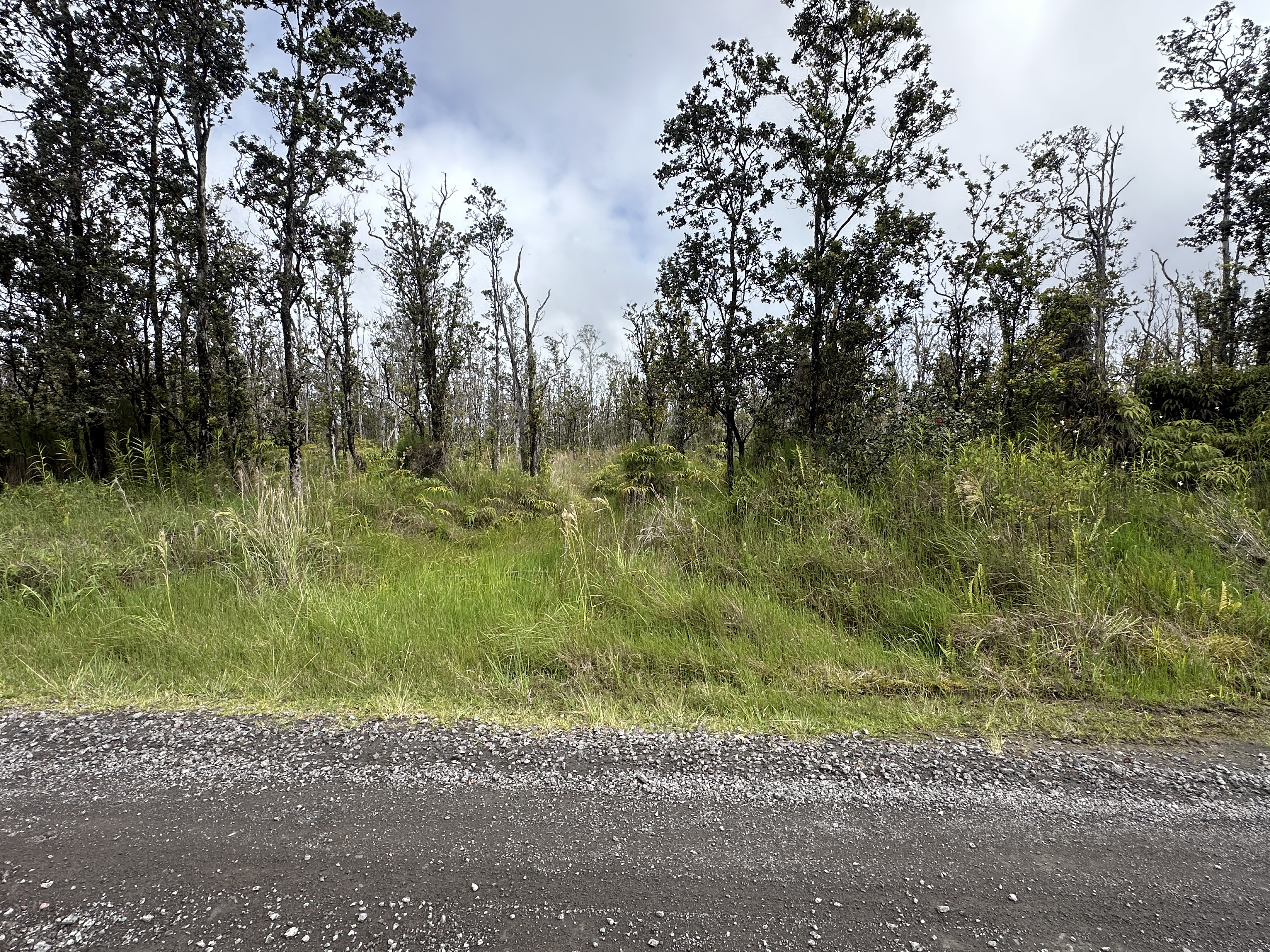 Kaleponi Dr Property Photo 1