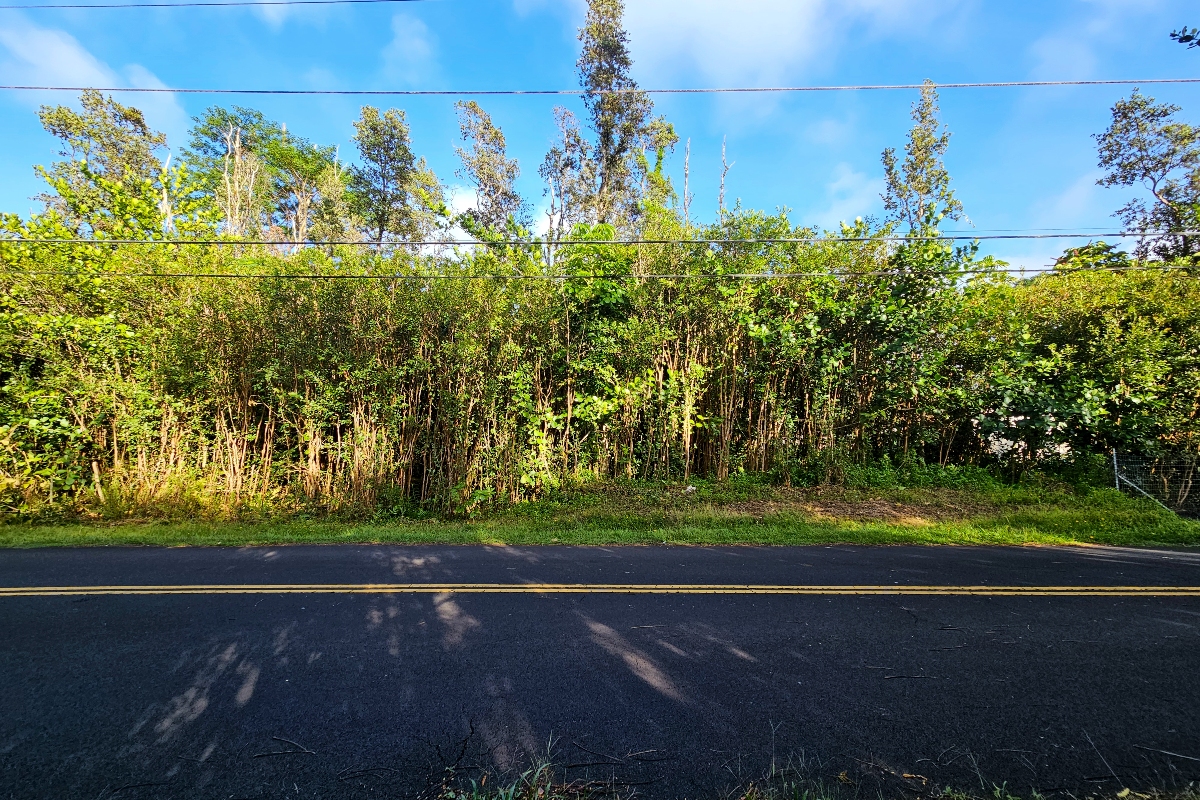 PUNI MAUKA LOOP Property Photo 1