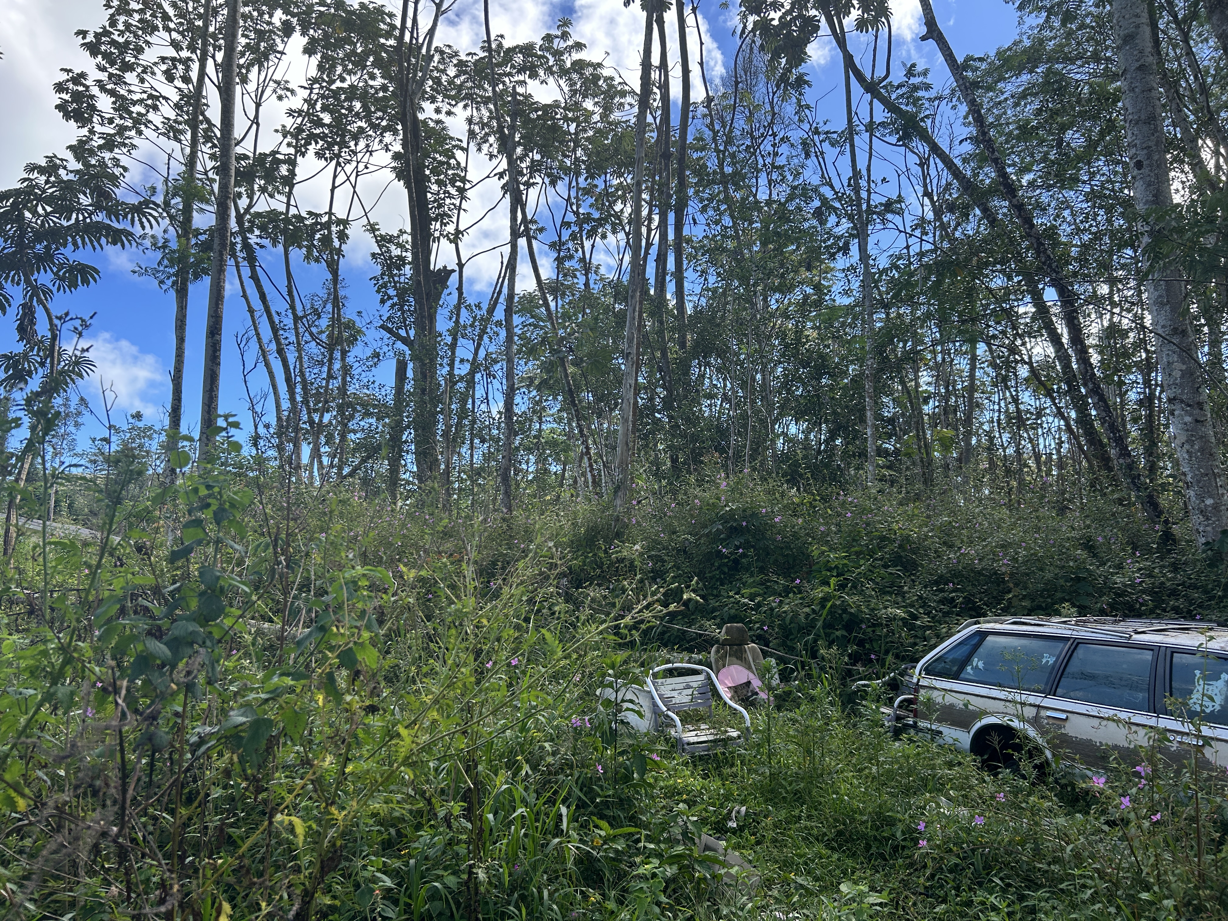 Plumeria Rd Property Photo 3