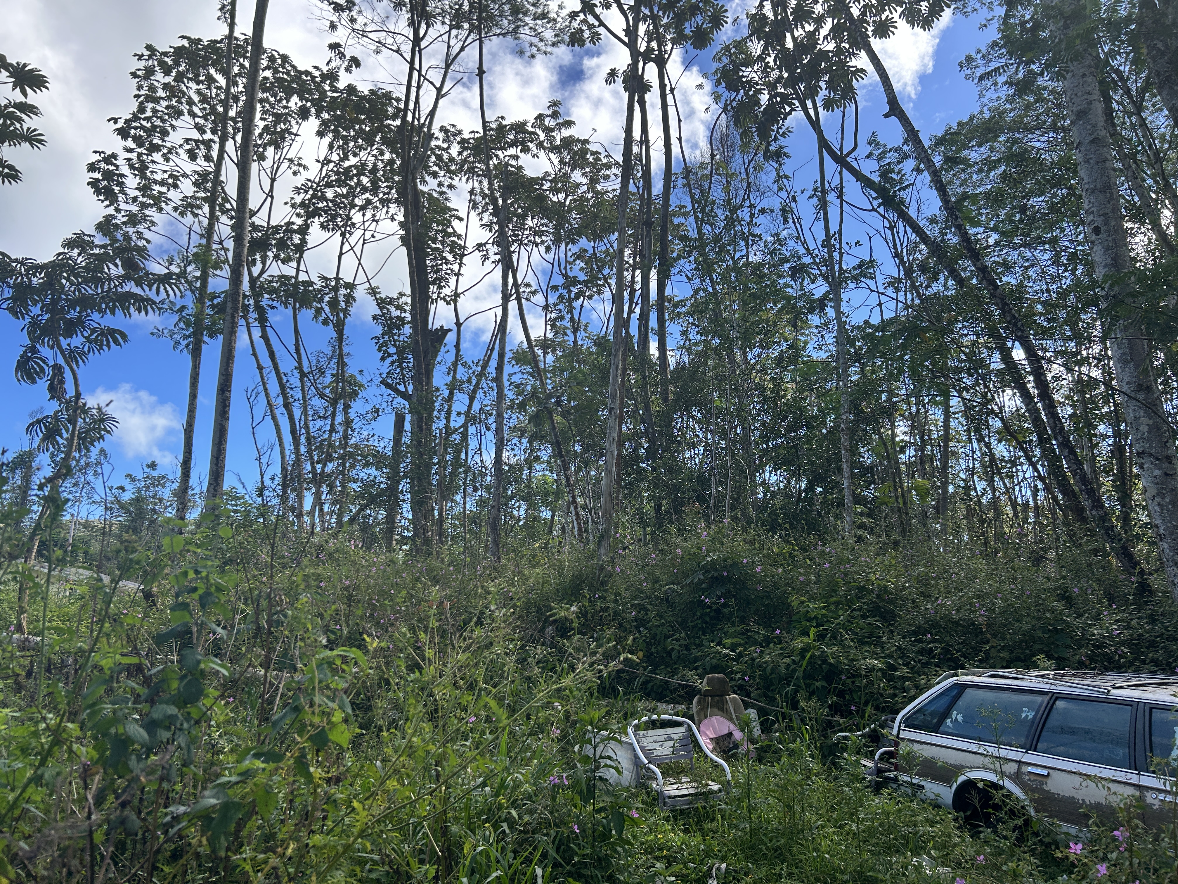 Plumeria Rd Property Photo 7