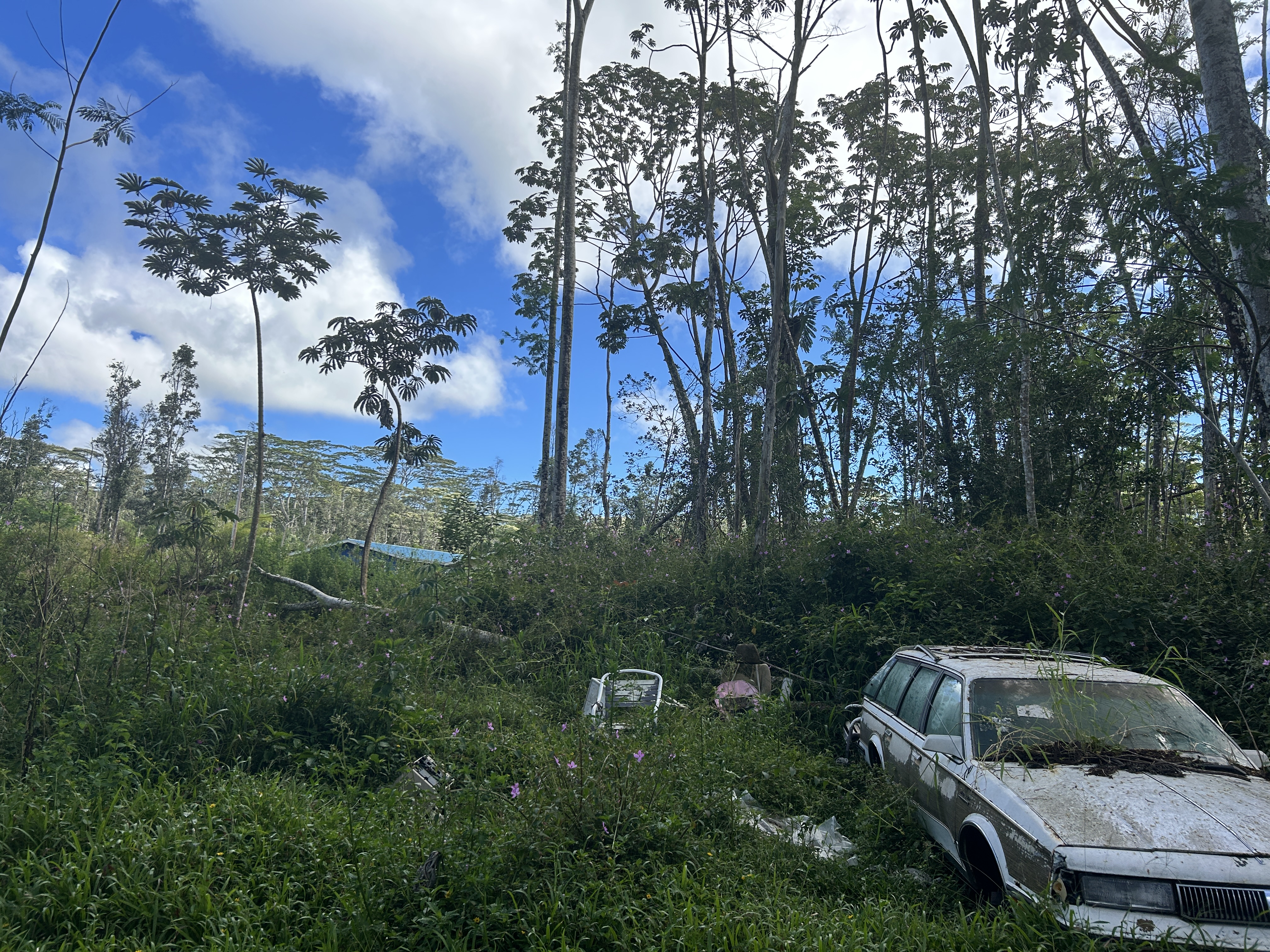Plumeria Rd Property Photo 9