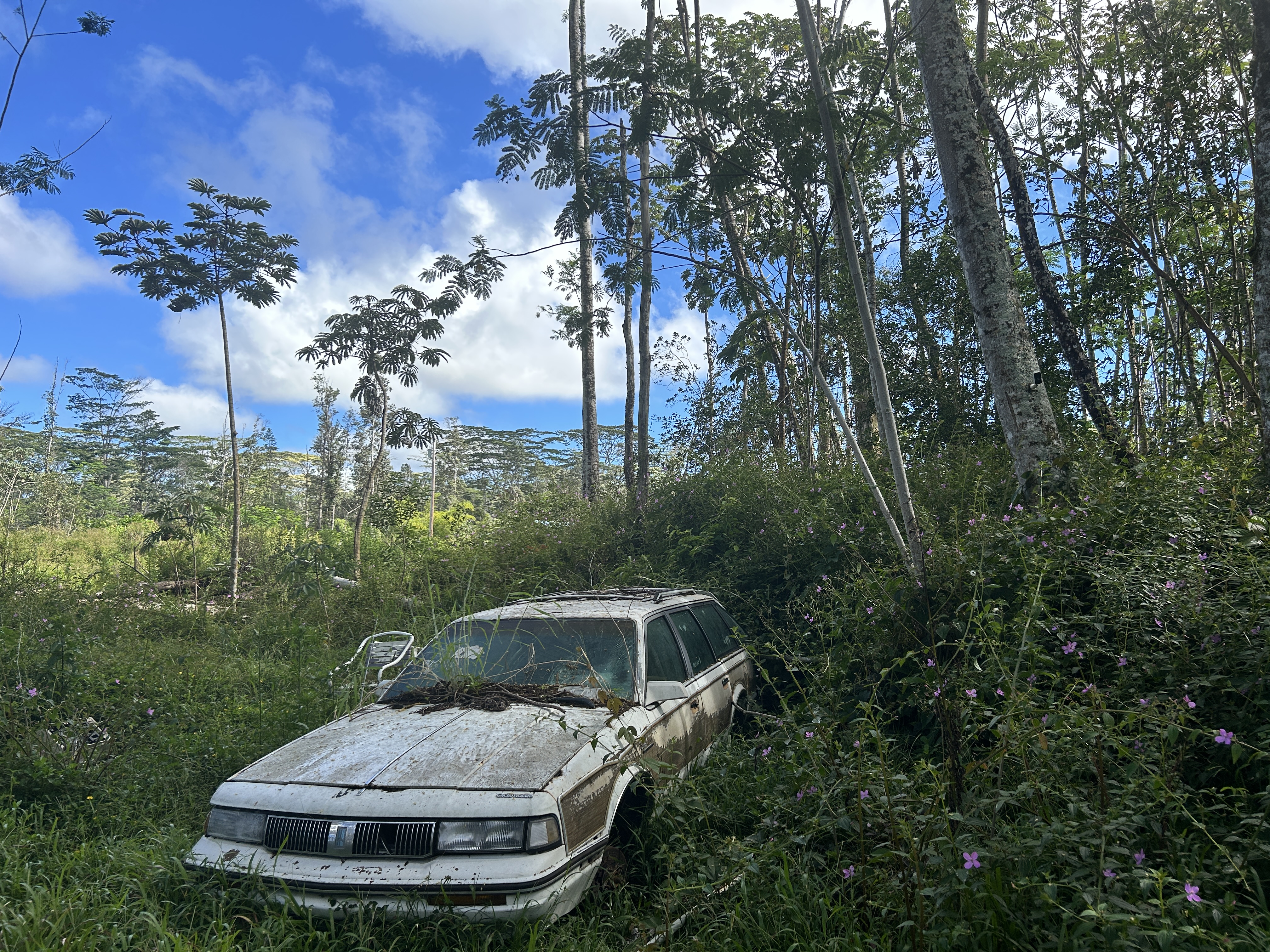 Plumeria Rd Property Photo 11