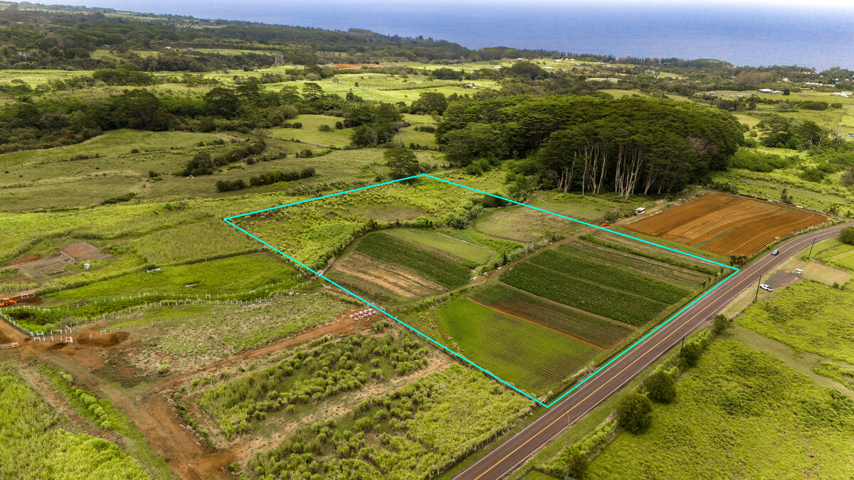 Akaka Falls Road Property Photo 1