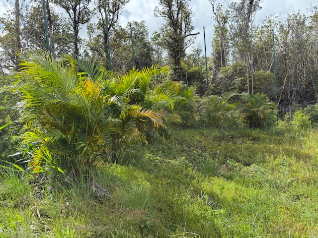 Palainui Ave Property Photo 13