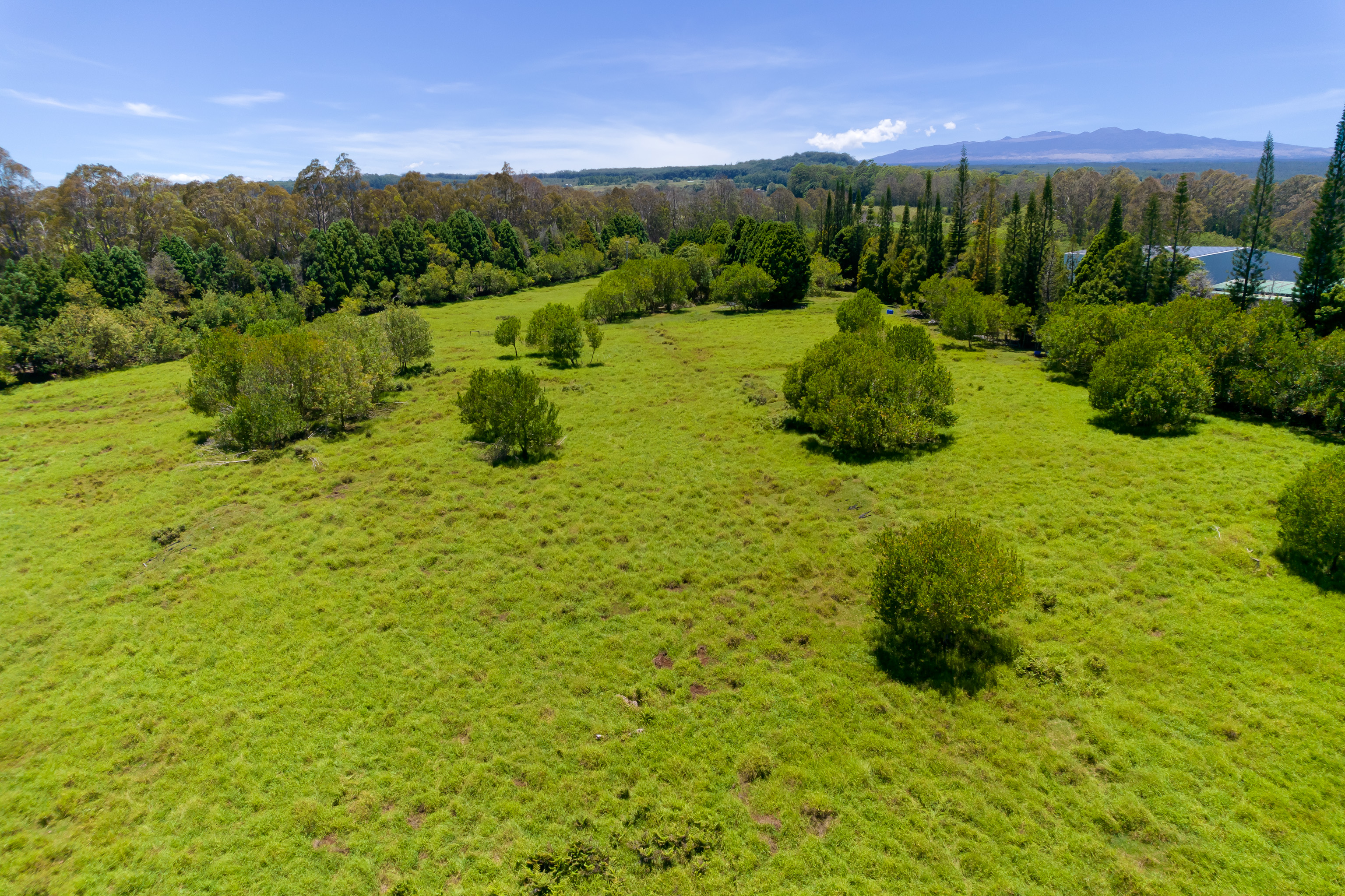 28-595 Kaupakuea Homestead Rd Property Photo 11