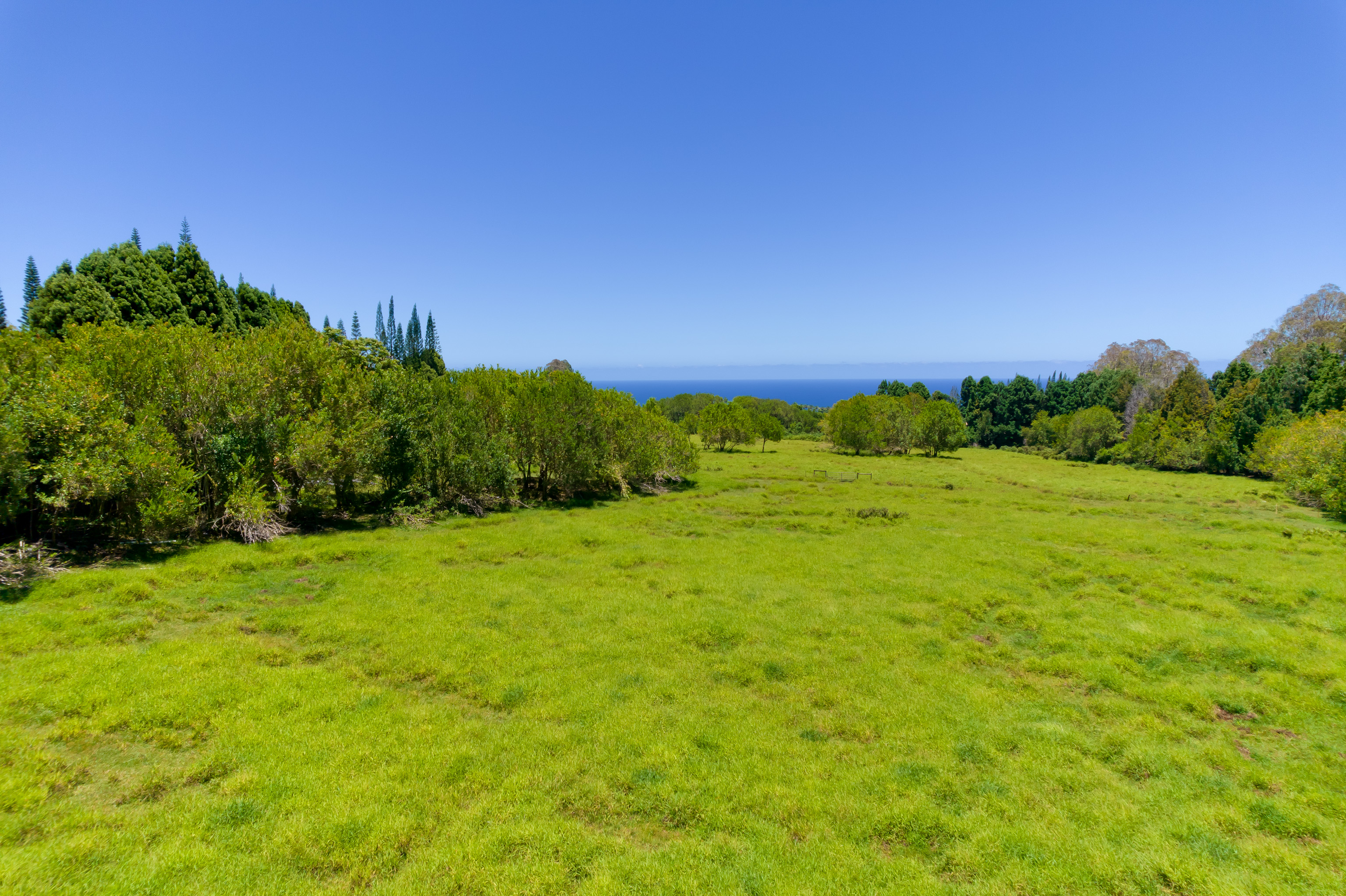28-595 Kaupakuea Homestead Rd Property Photo 20
