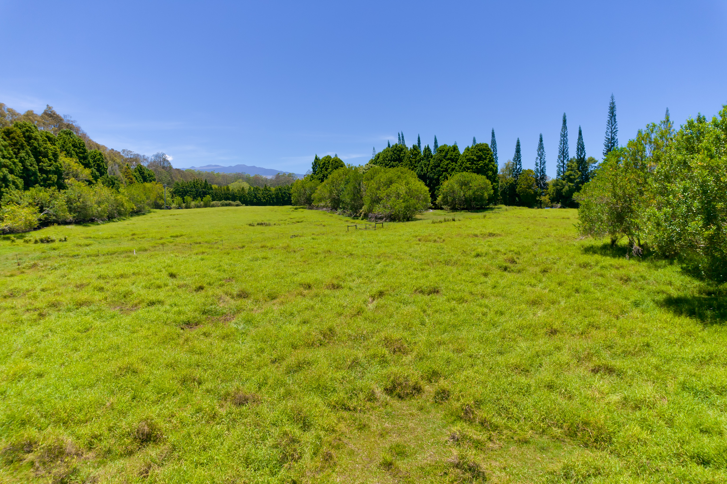 28-595 Kaupakuea Homestead Rd Property Photo 22
