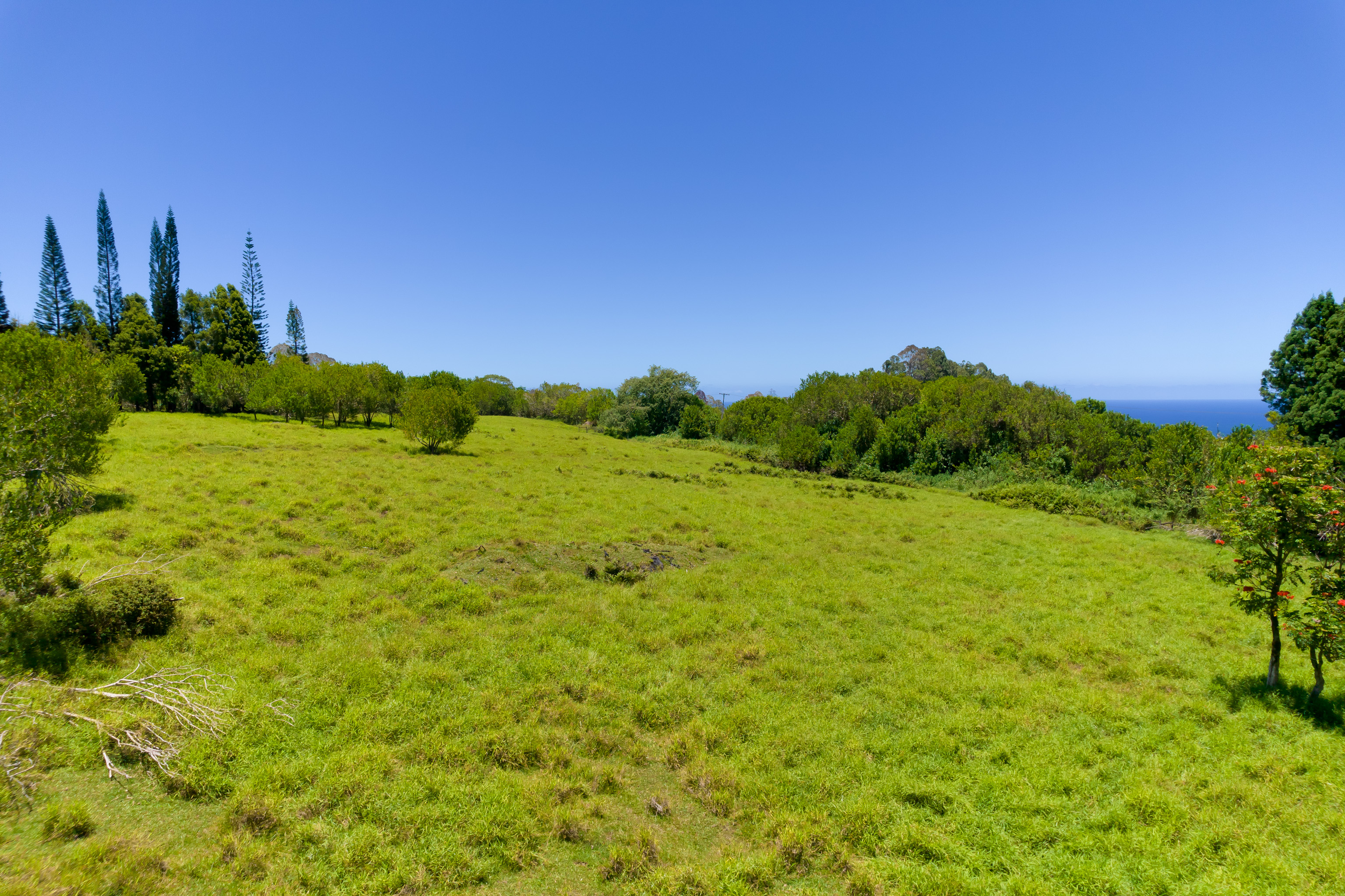 28-595 Kaupakuea Homestead Rd Property Photo 23